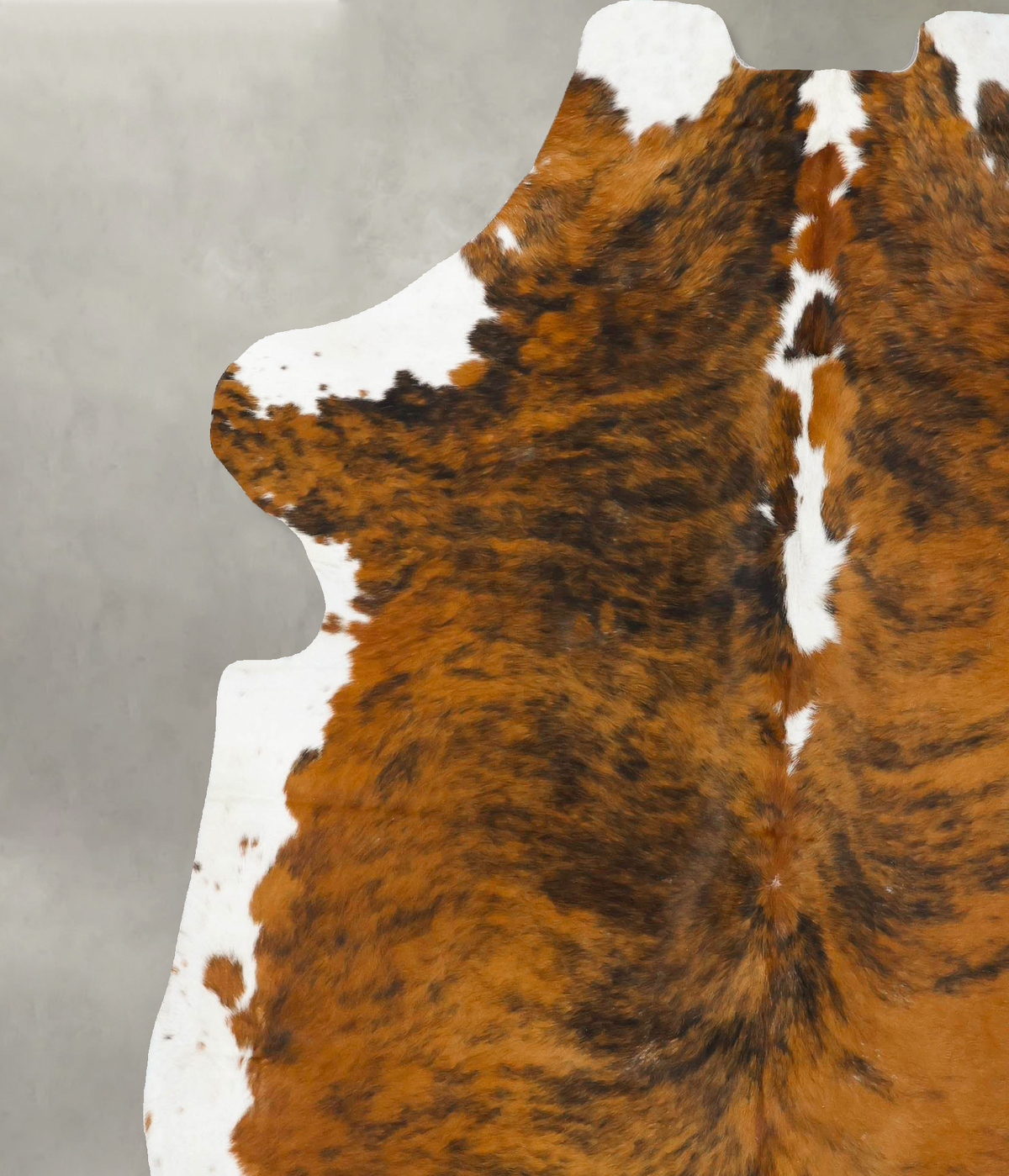 Tricolor XX-Large European Cowhide Rug 7'11"H x 6'7"W #B23536 by Hudson Hides