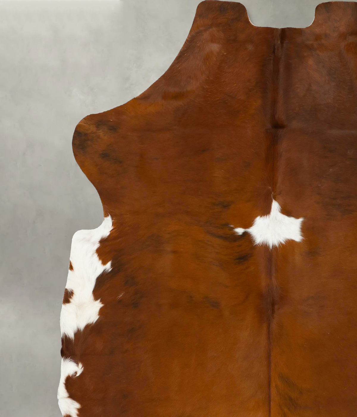 Tricolor X-Large European Cowhide Rug 7'7"H x 6'6"W #B23547 by Hudson Hides