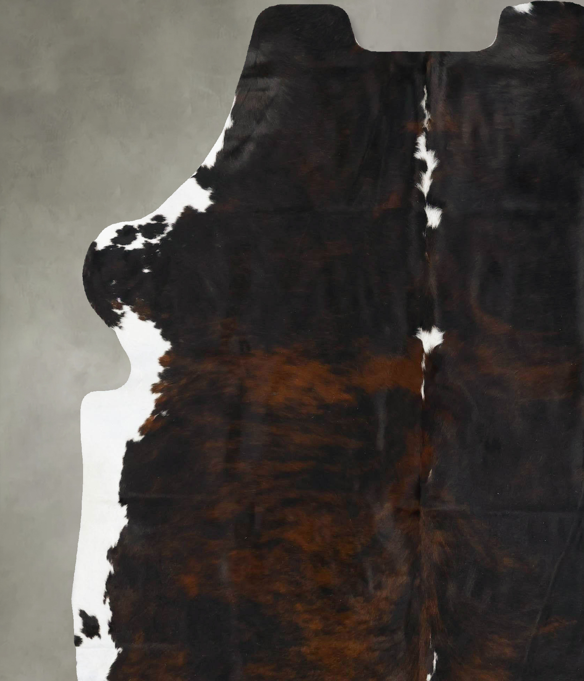 Tricolor X-Large European Cowhide Rug 7'4"H x 6'6"W #B23548 by Hudson Hides