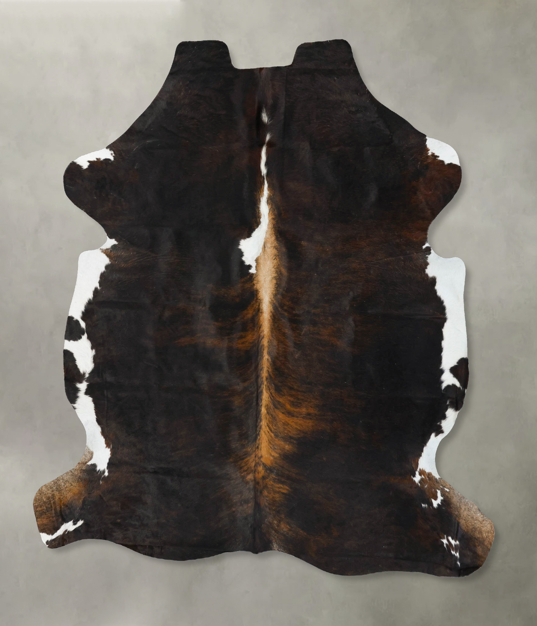Tricolor Cowhide Rug #B23558