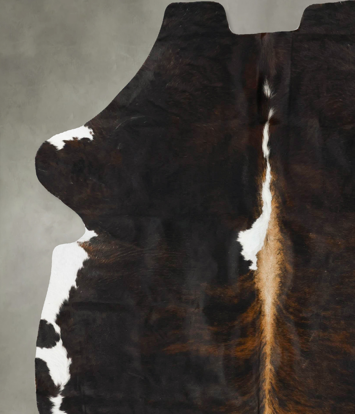 Tricolor X-Large European Cowhide Rug 7'4"H x 6'5"W #B23558 by Hudson Hides