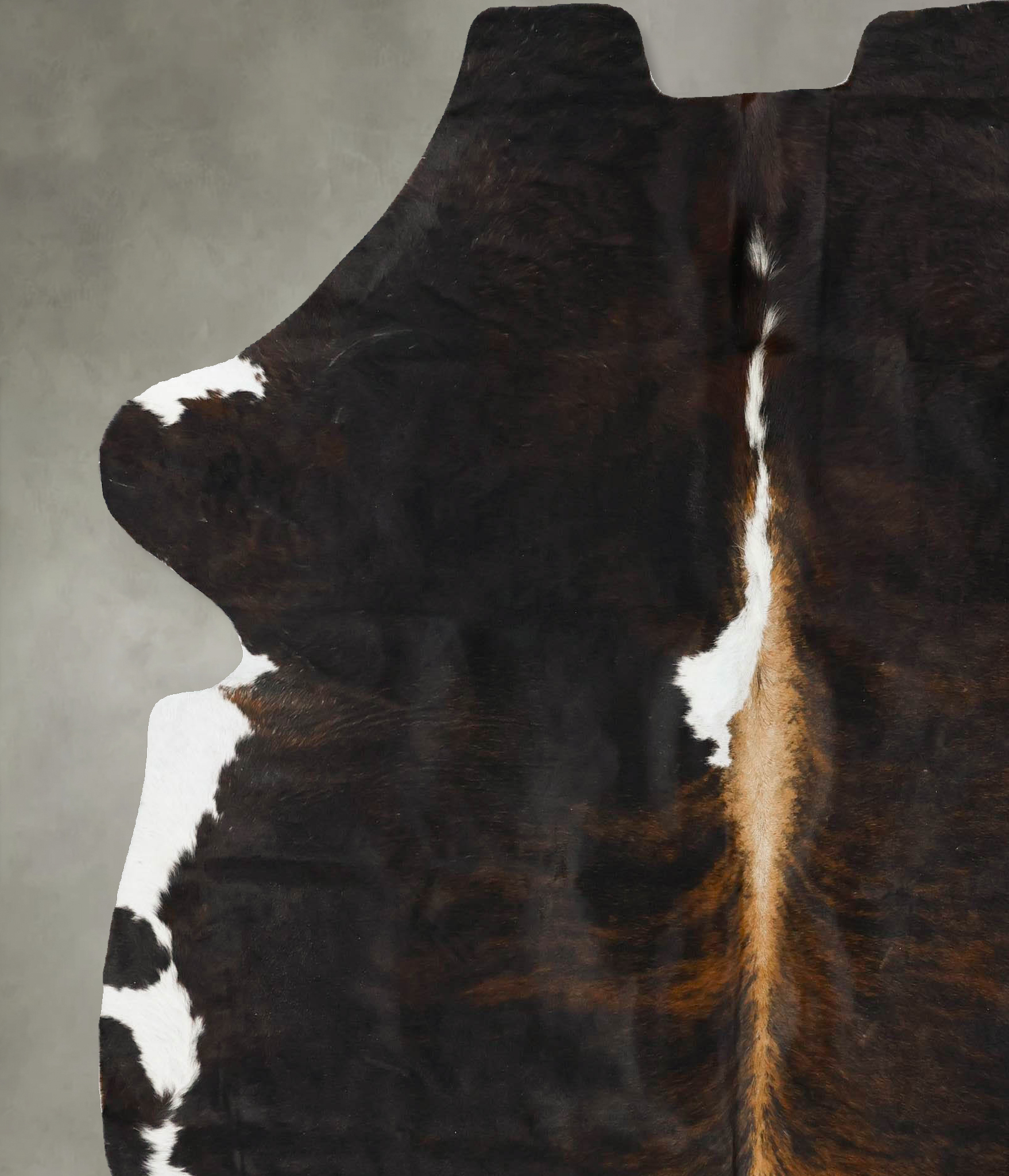 Tricolor Cowhide Rug #B23558