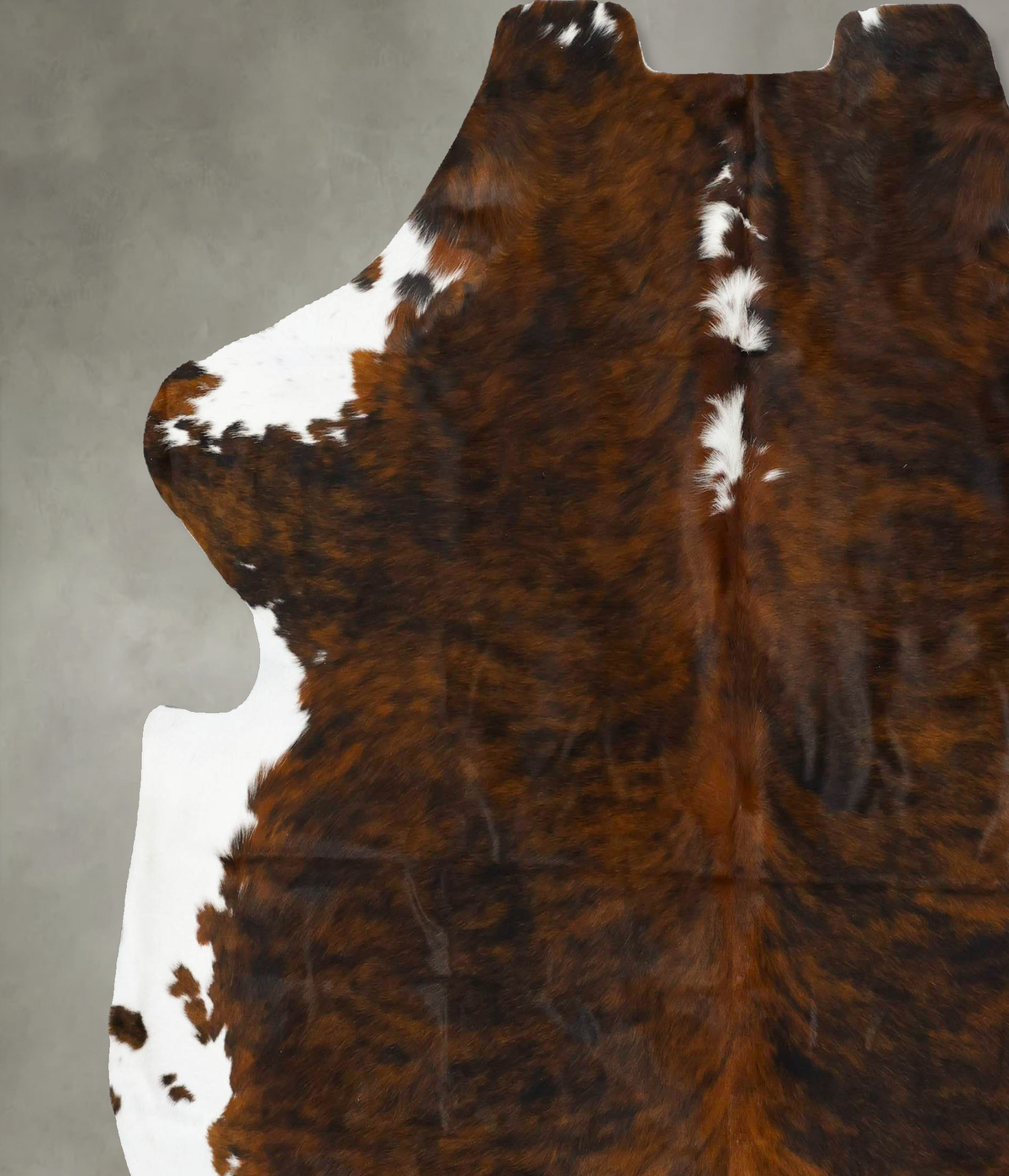 Tricolor XX-Large European Cowhide Rug 7'4"H x 7'2"W #B23559 by Hudson Hides