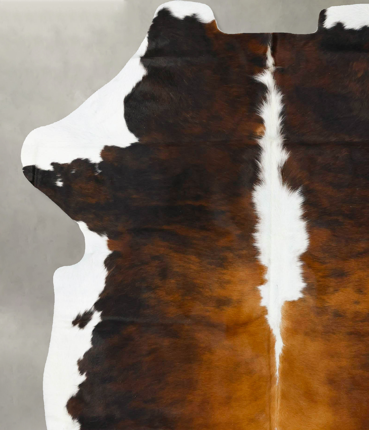 Tricolor X-Large European Cowhide Rug 7'7"H x 6'3"W #B23561 by Hudson Hides