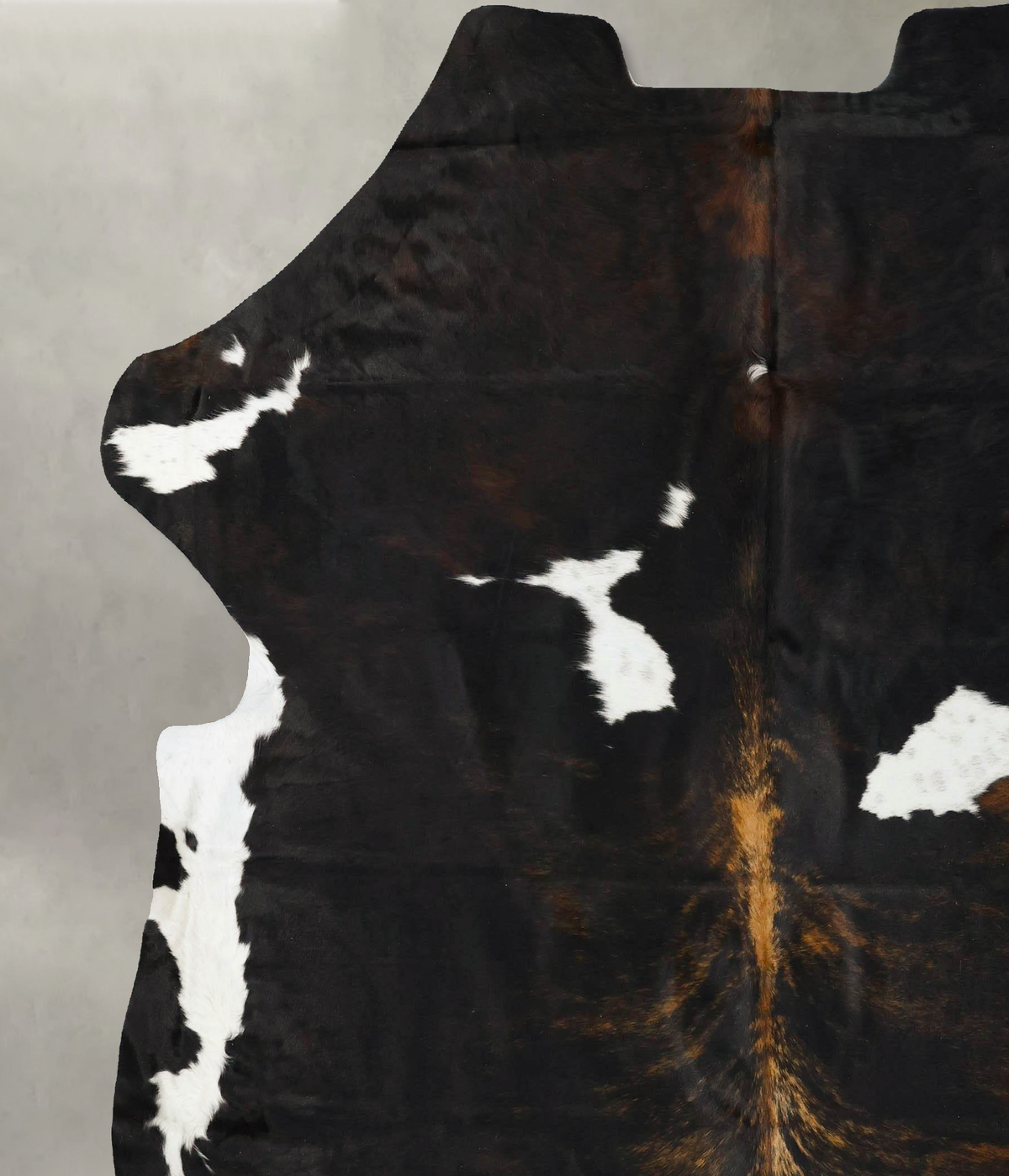 Tricolor XX-Large European Cowhide Rug 7'7"H x 7'1"W #B23562 by Hudson Hides
