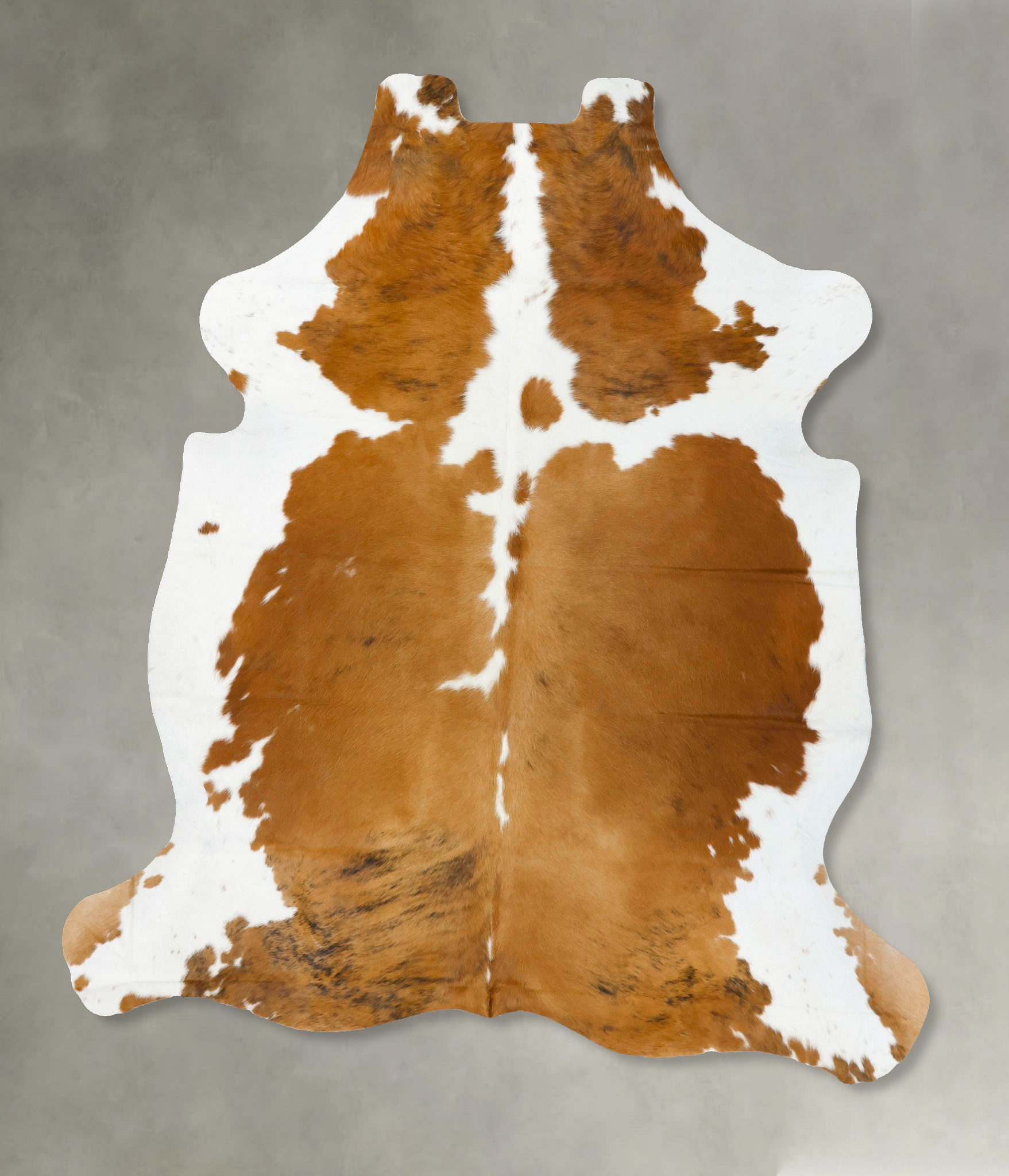 Tricolor Cowhide Rug #B23567
