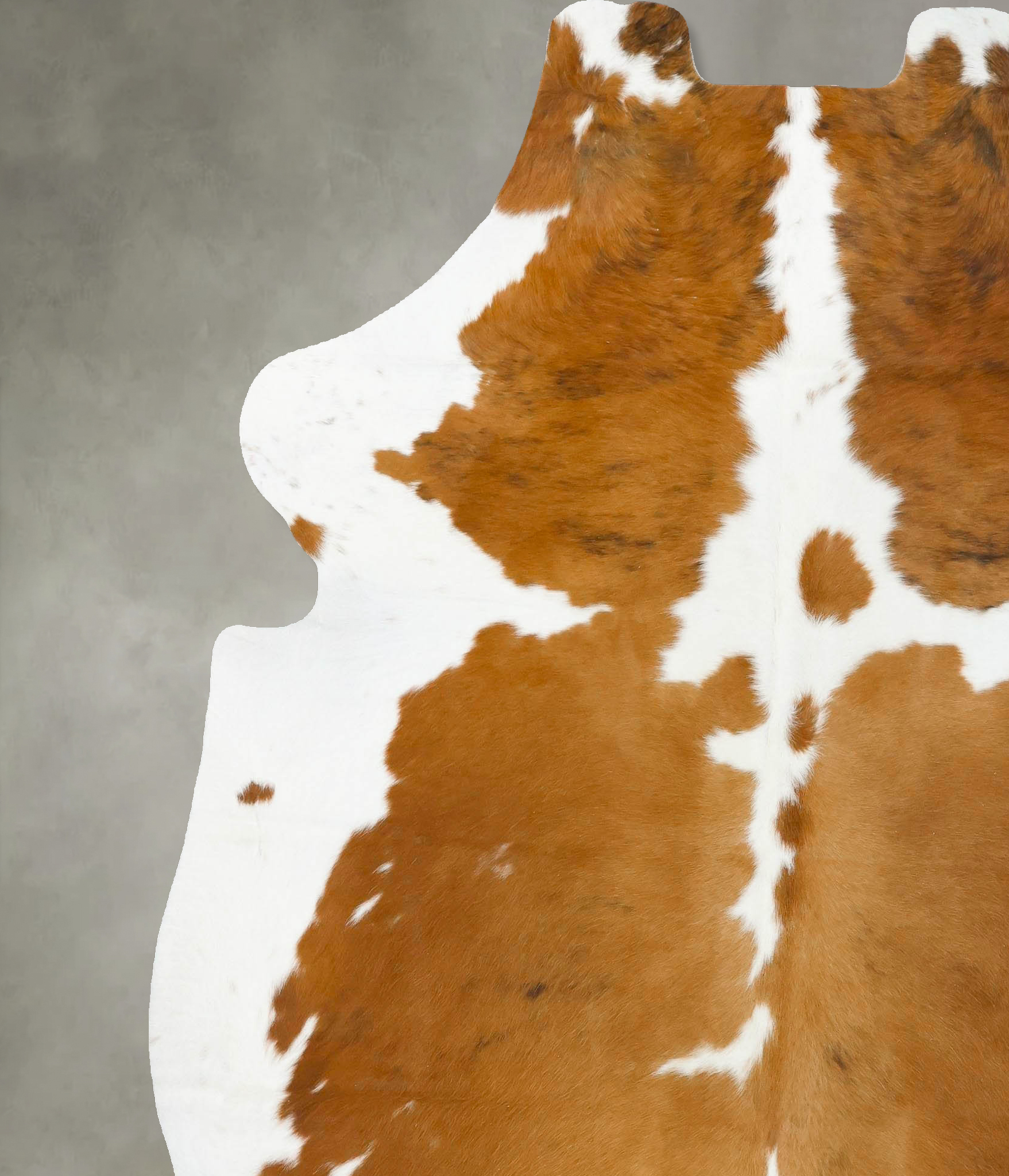 Tricolor Cowhide Rug #B23567
