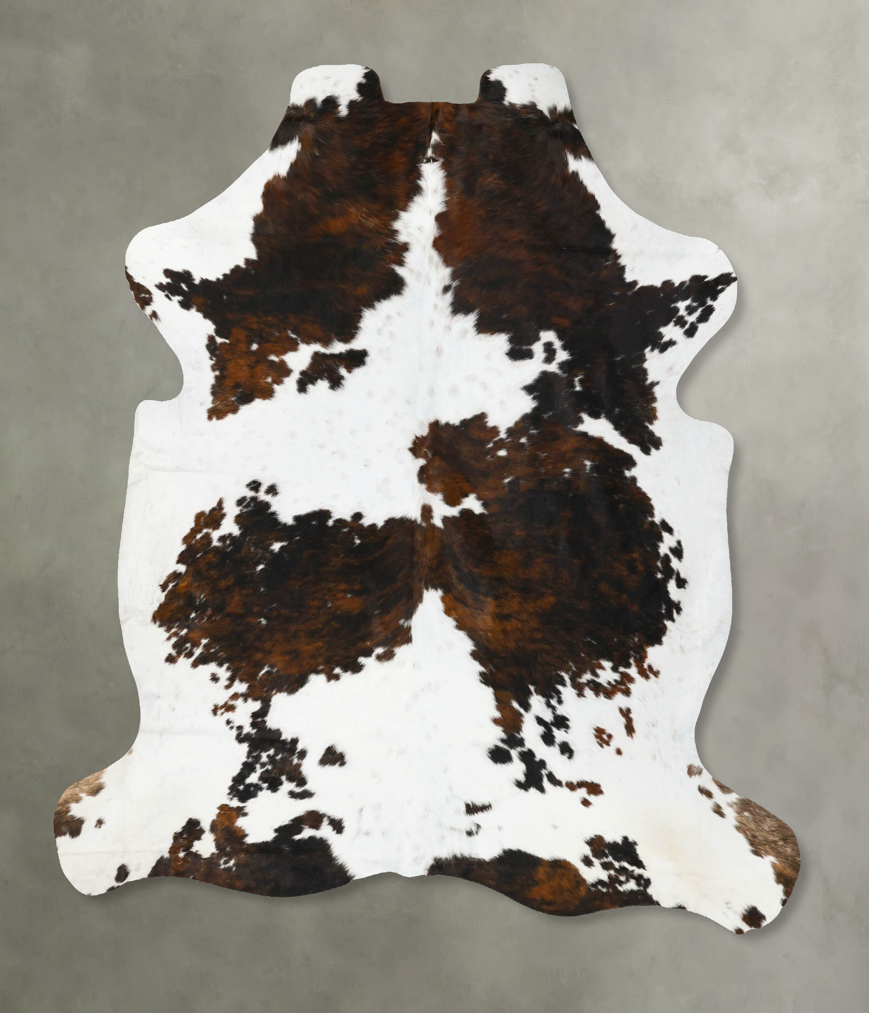 Tricolor Cowhide Rug #B23571