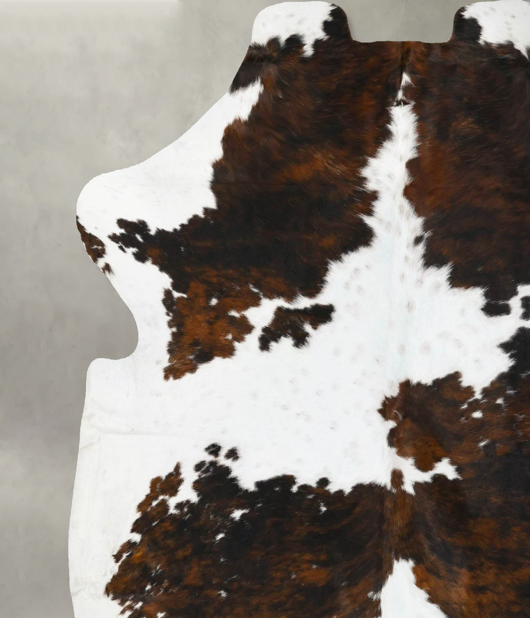 Tricolor Cowhide Rug #B23571
