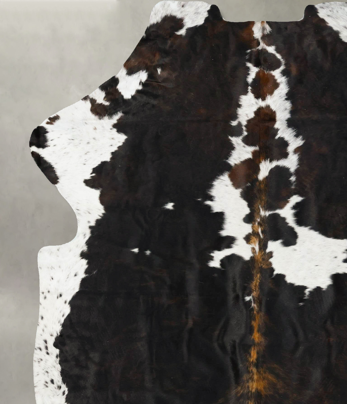 Tricolor X-Large European Cowhide Rug 7'7"H x 6'0"W #B23574 by Hudson Hides