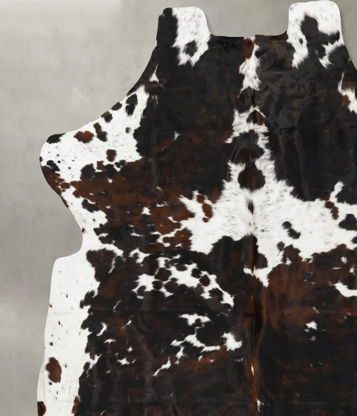 Tricolor XX-Large European Cowhide Rug 7'7"H x 6'9"W #B23575 by Hudson Hides