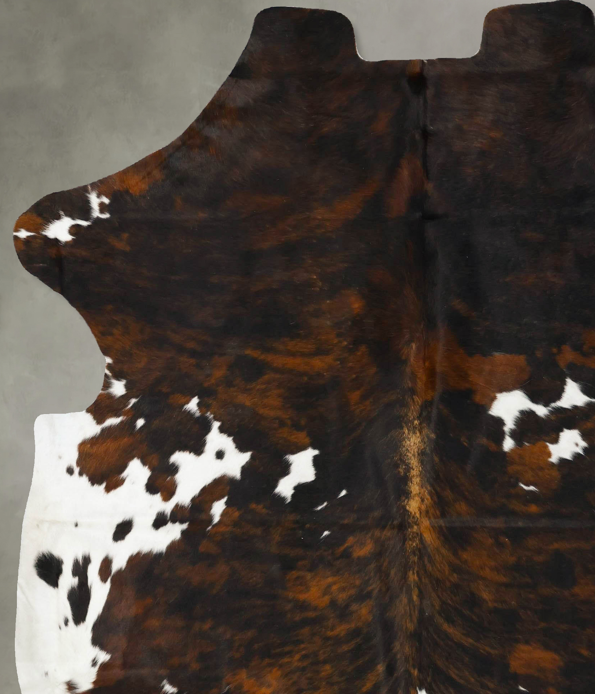 Tricolor X-Large European Cowhide Rug 7'6"H x 6'6"W #B23578 by Hudson Hides