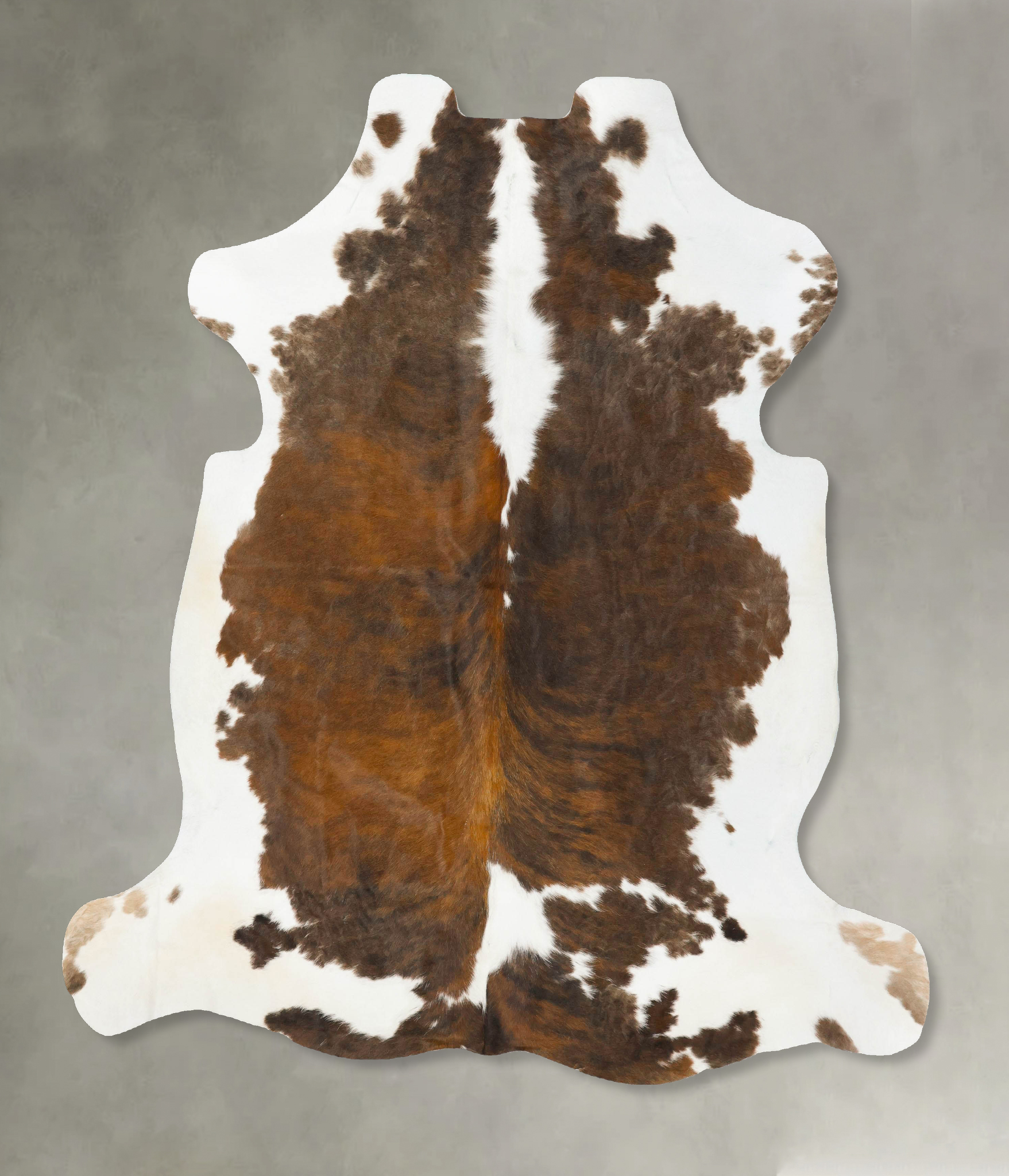 Tricolor Cowhide Rug #B23580