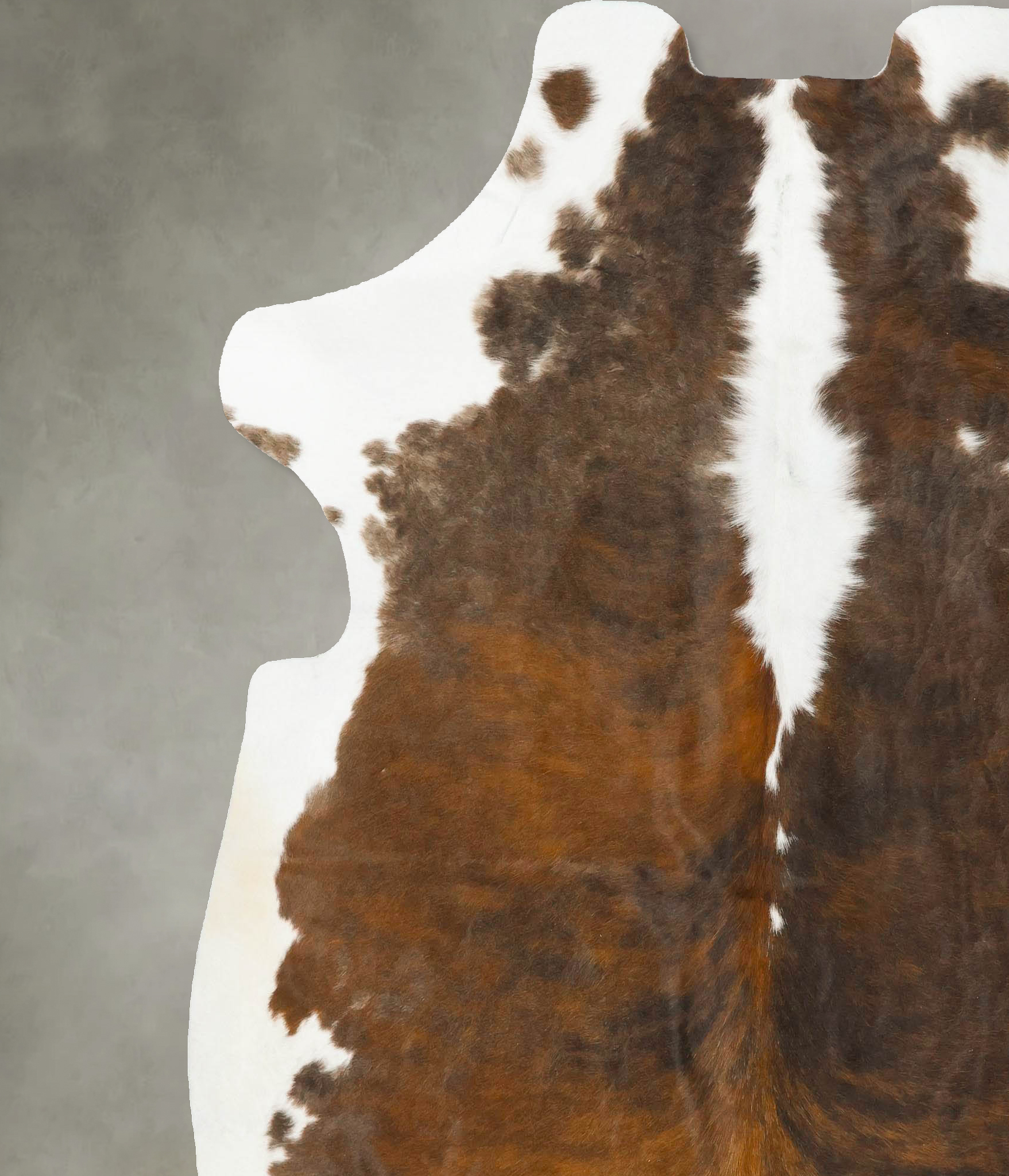 Tricolor Cowhide Rug #B23580