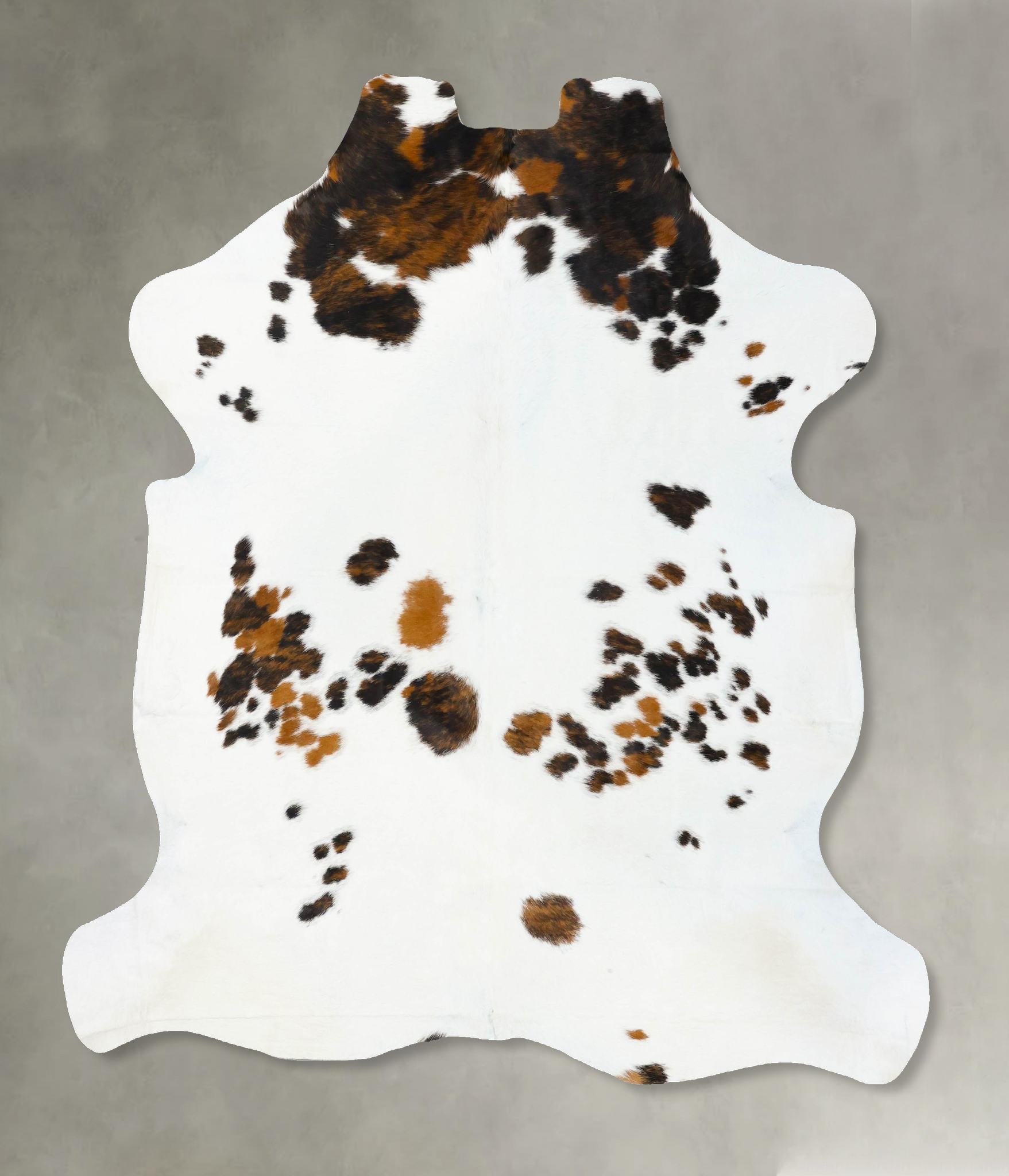 Tricolor Cowhide Rug #B23588