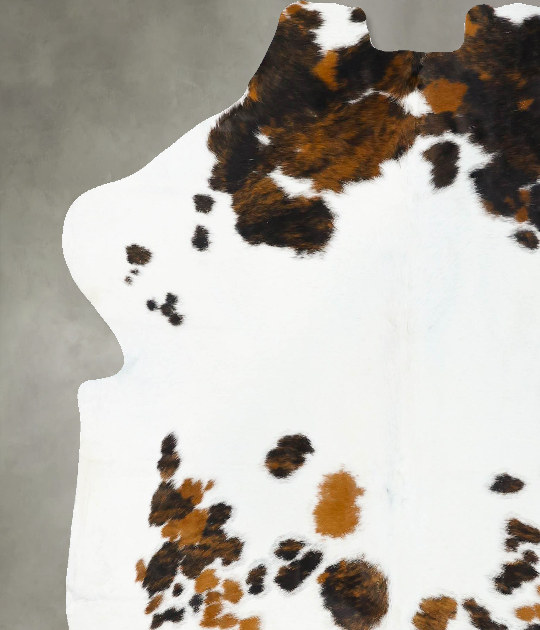 Tricolor Cowhide Rug #B23588