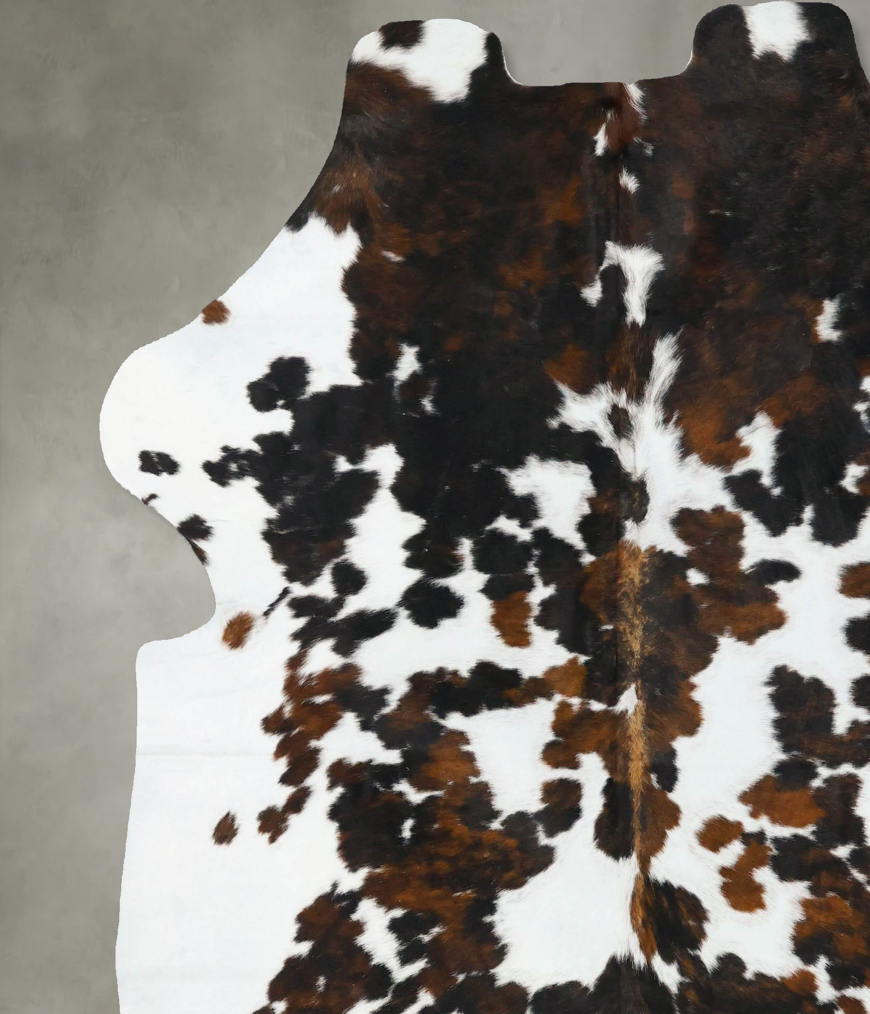 Tricolor Cowhide Rug #B23591