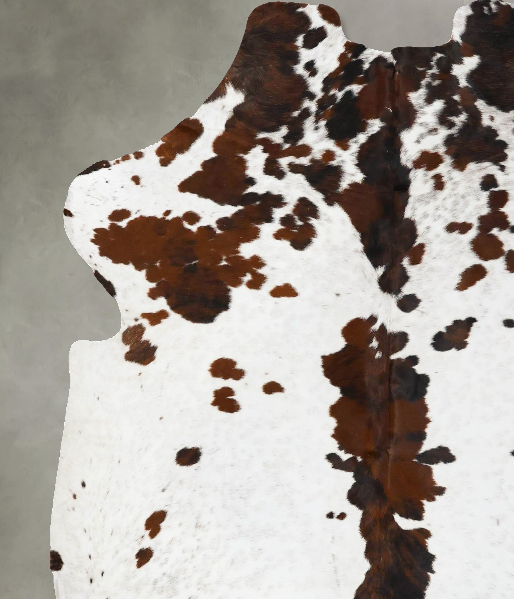 Tricolor Cowhide Rug #B23592