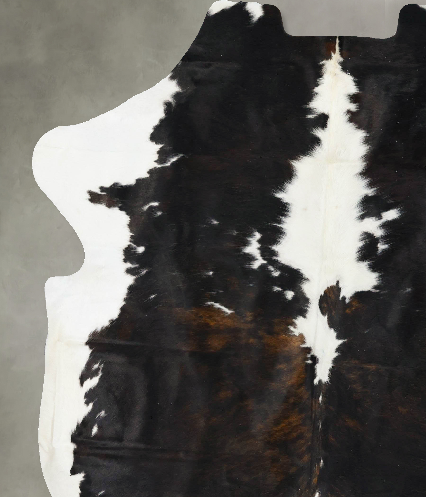 Tricolor Cowhide Rug #B23595
