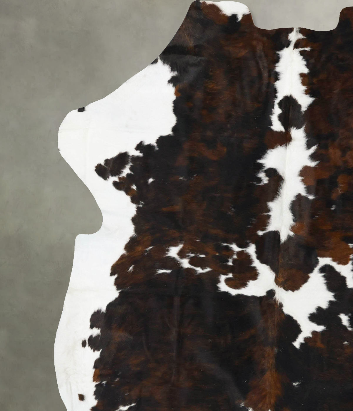 Tricolor XX-Large European Cowhide Rug 8'7"H x 7'5"W #B23597 by Hudson Hides