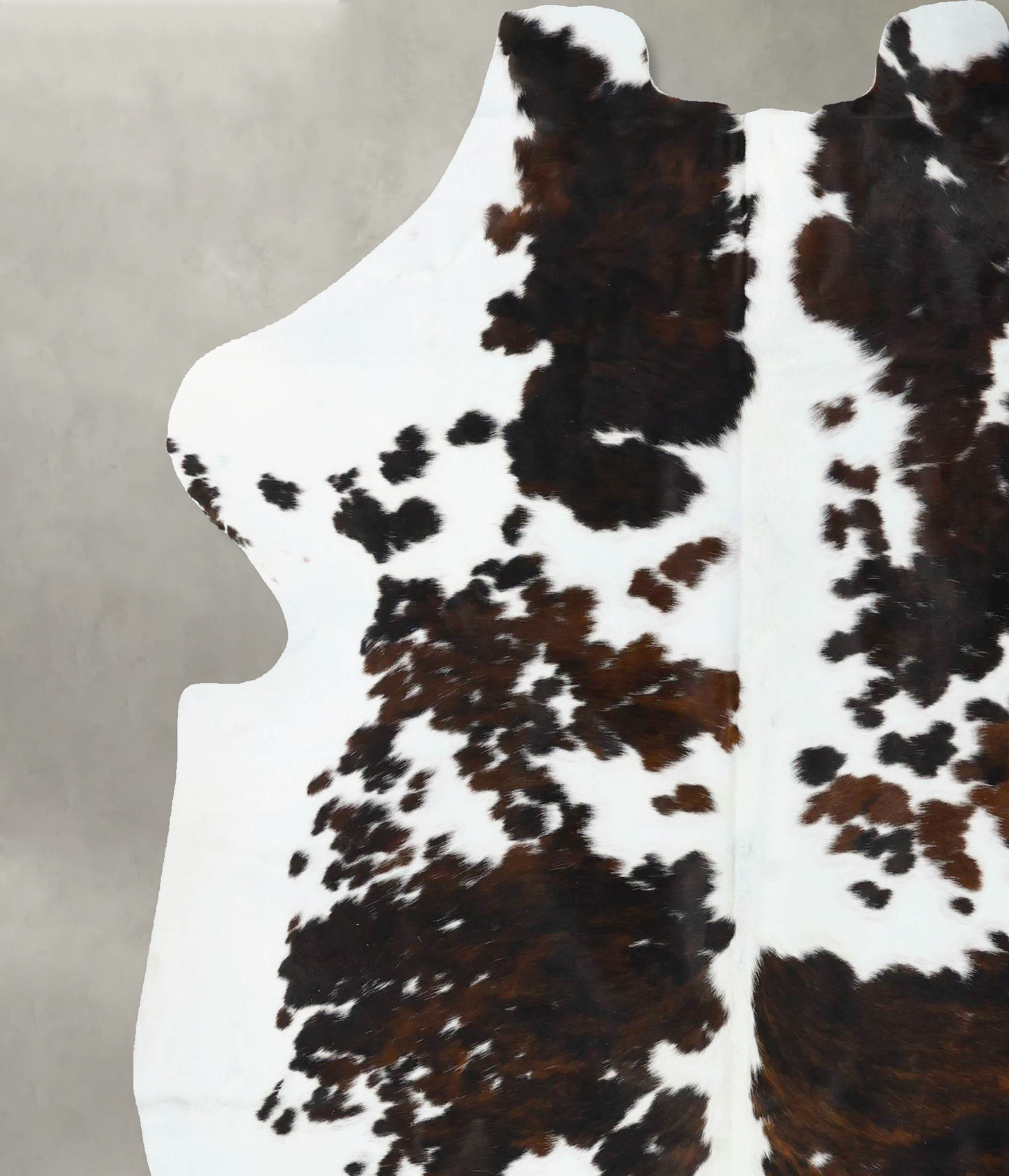 Tricolor Cowhide Rug #B23603