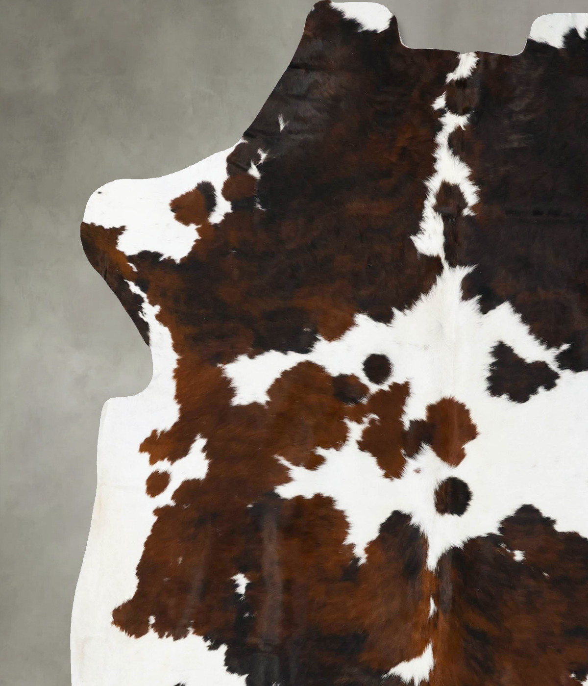 Tricolor XX-Large European Cowhide Rug 7'9"H x 6'9"W #B23605 by Hudson Hides