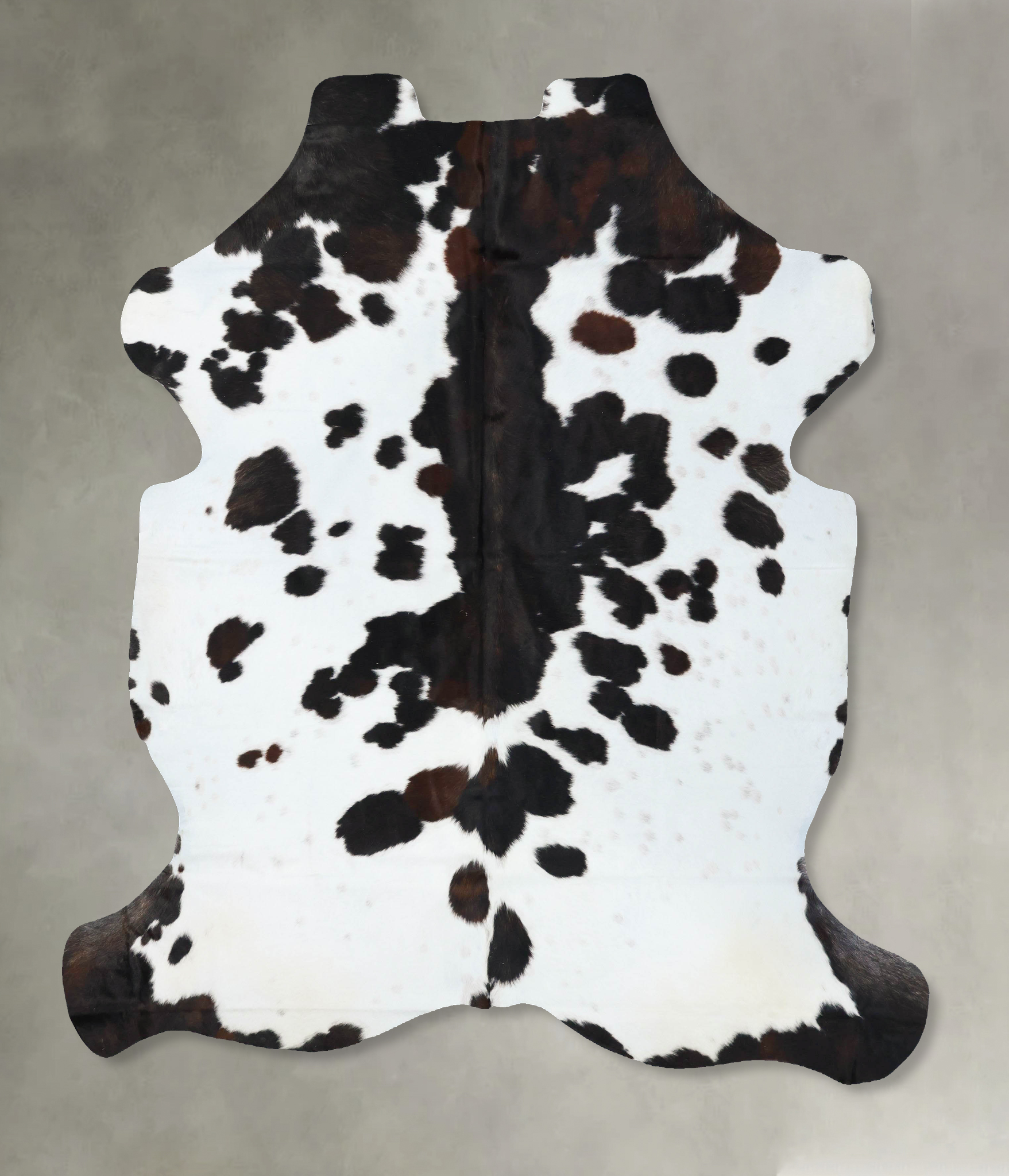Tricolor Cowhide Rug #B23608