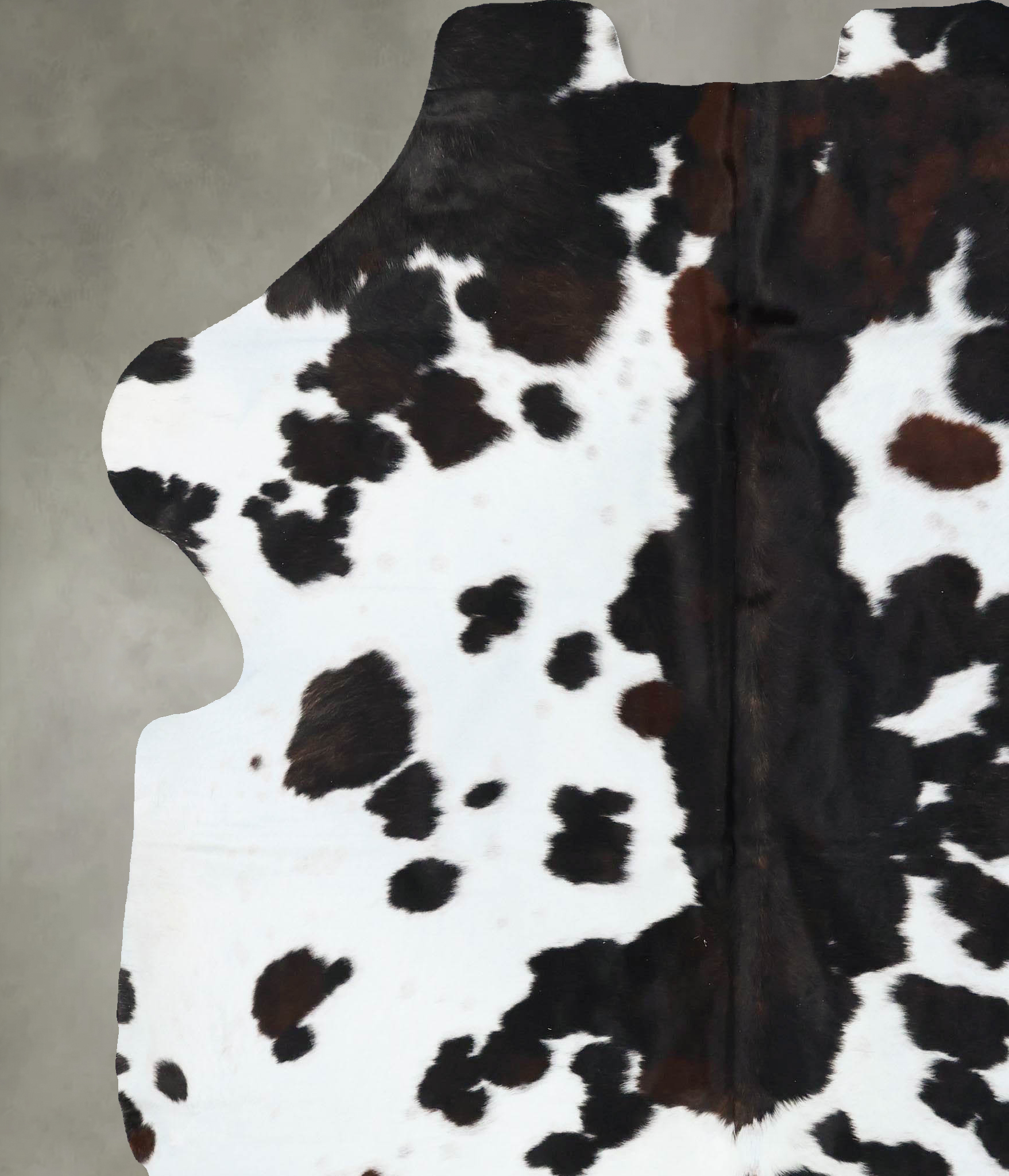 Tricolor Cowhide Rug #B23608