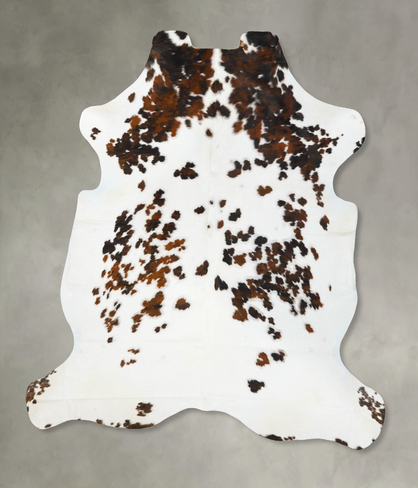 Tricolor Cowhide Rug #B23609