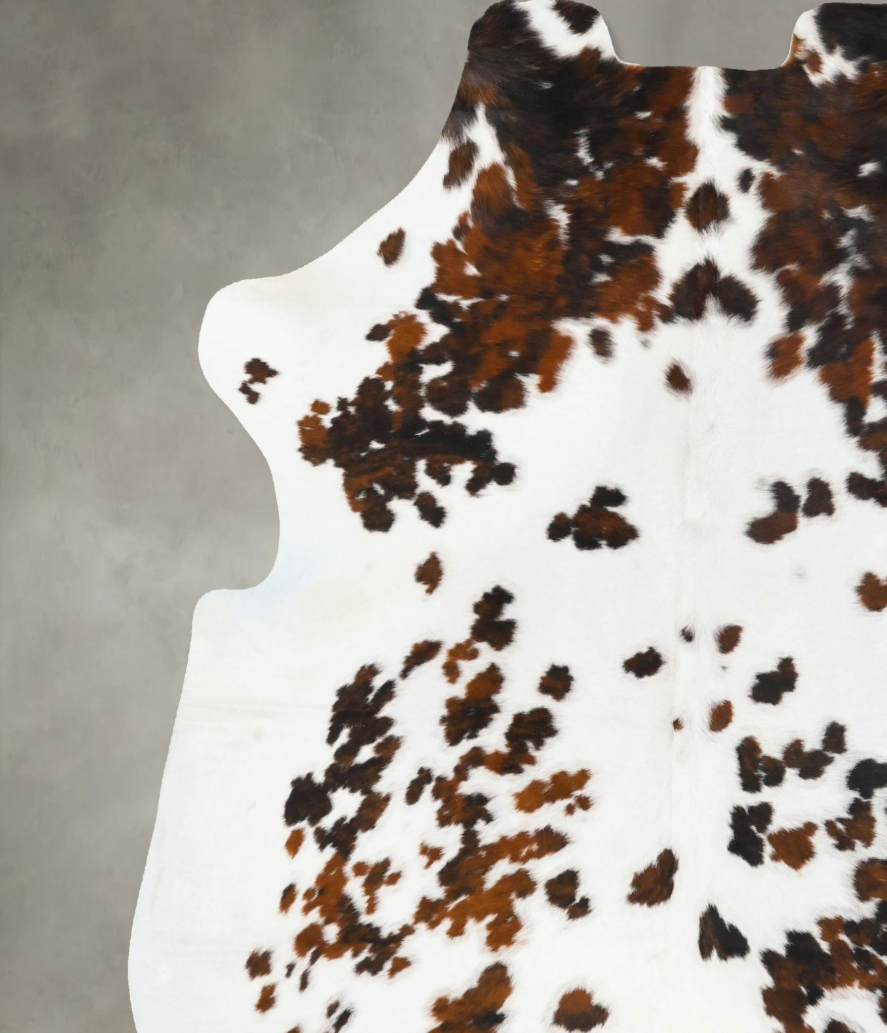 Tricolor Cowhide Rug #B23609