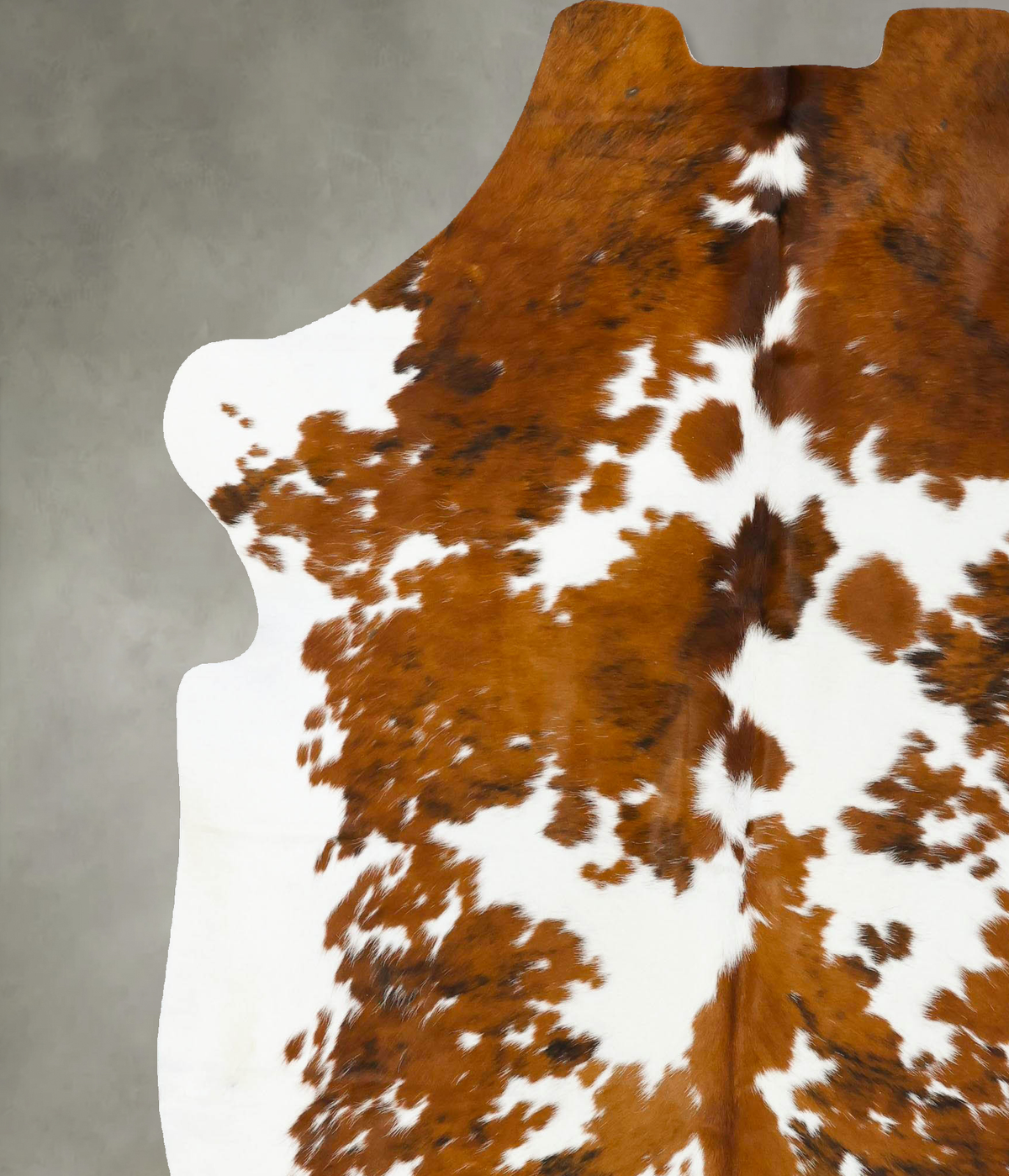 Tricolor XX-Large European Cowhide Rug 7'11"H x 6'9"W #B23611 by Hudson Hides