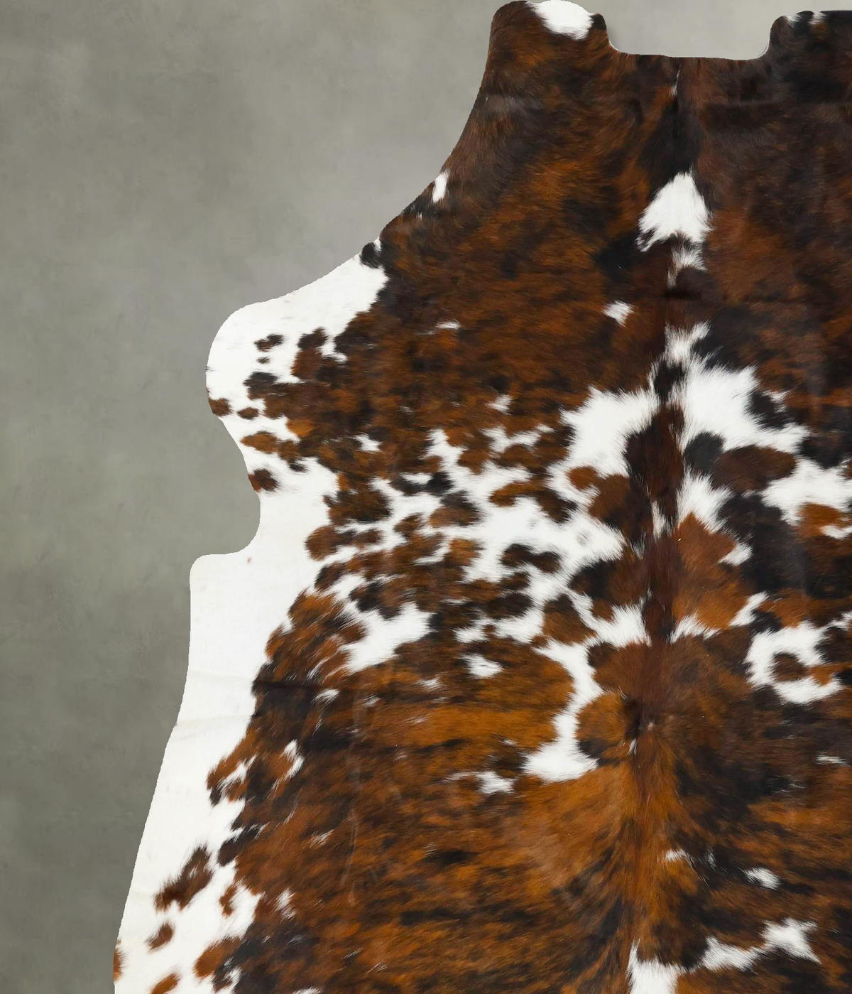 Tricolor X-Large European Cowhide Rug 7'9"H x 6'5"W #B23617 by Hudson Hides