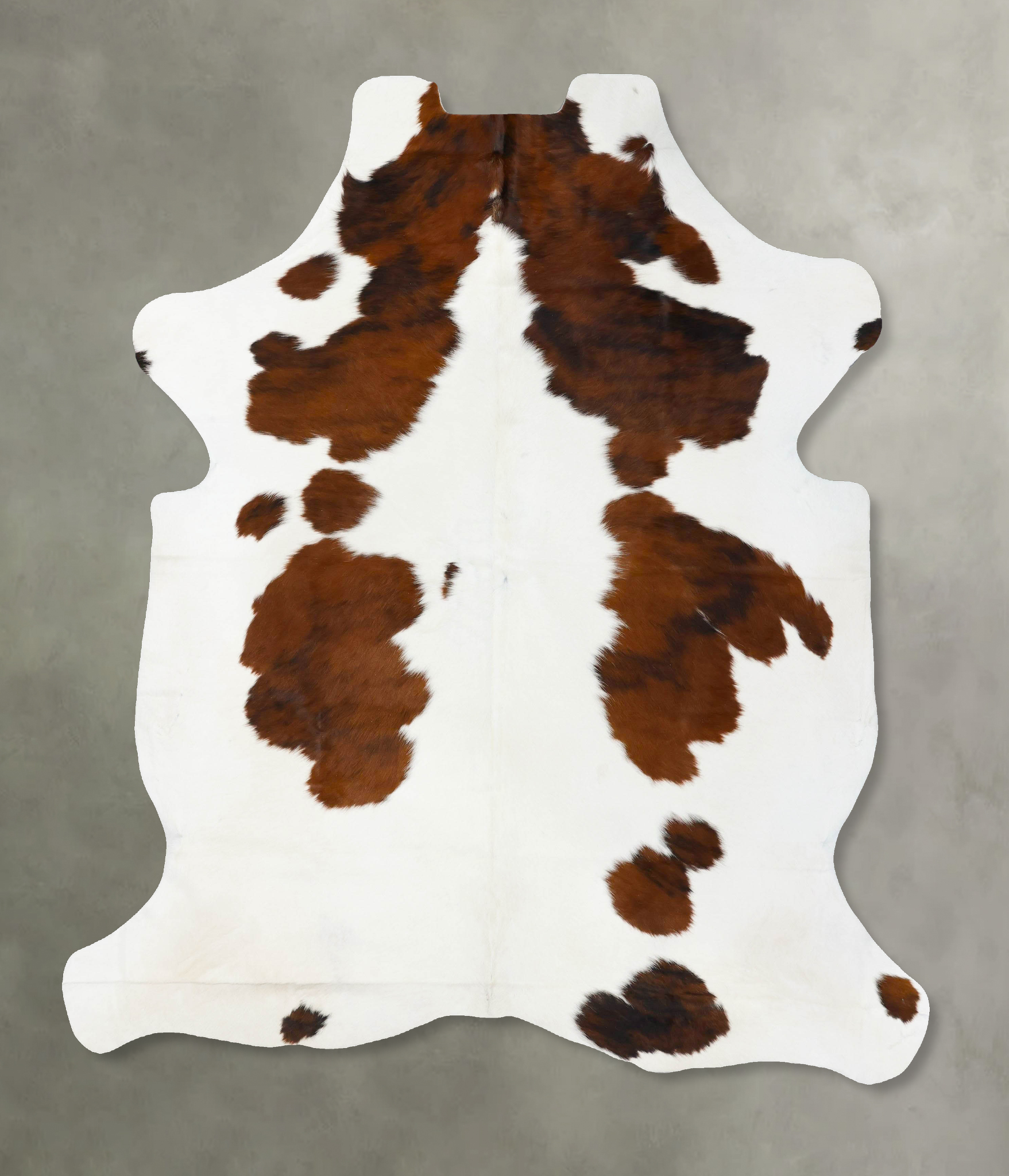 Tricolor Cowhide Rug #B23618