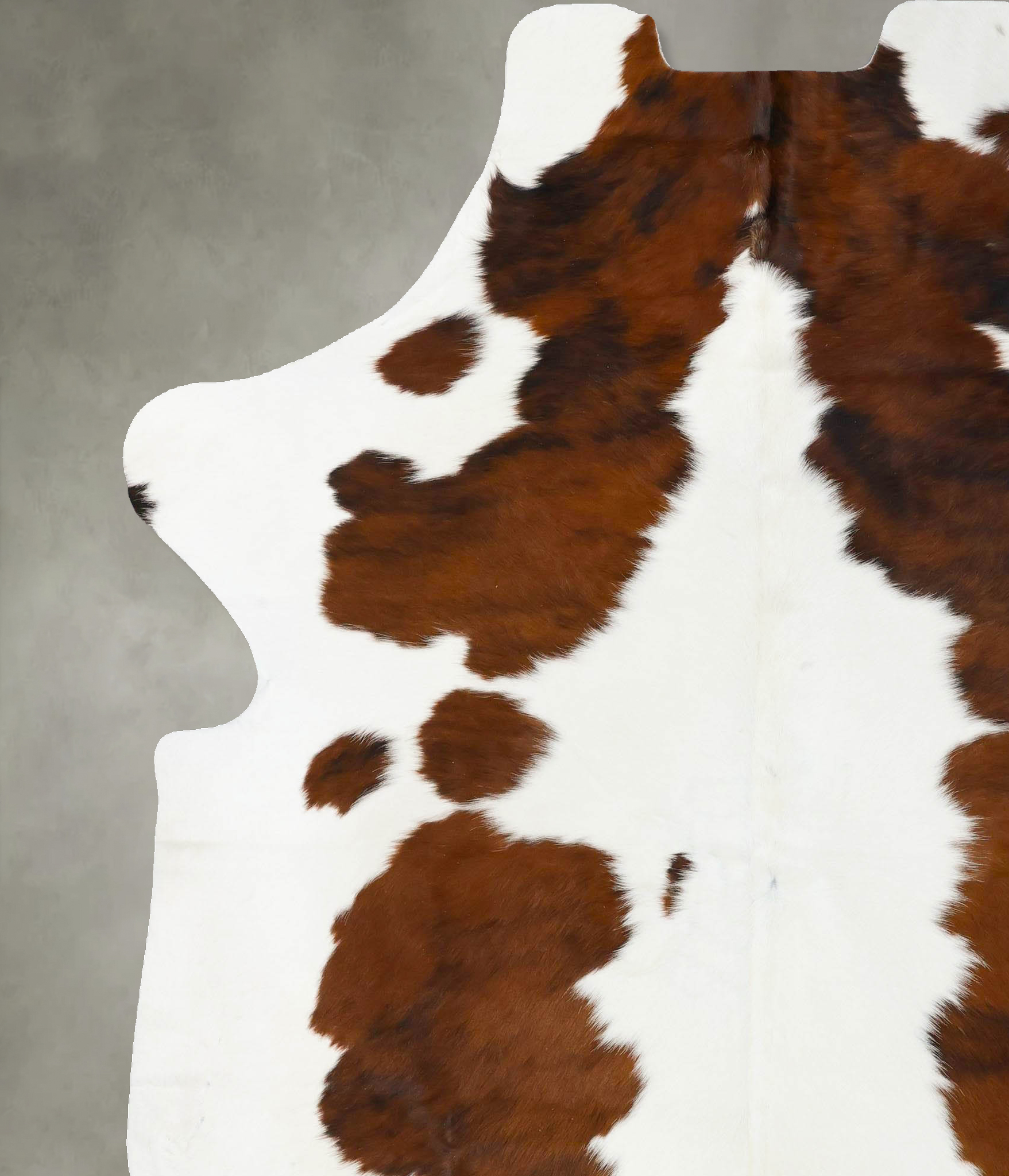 Tricolor Cowhide Rug #B23618