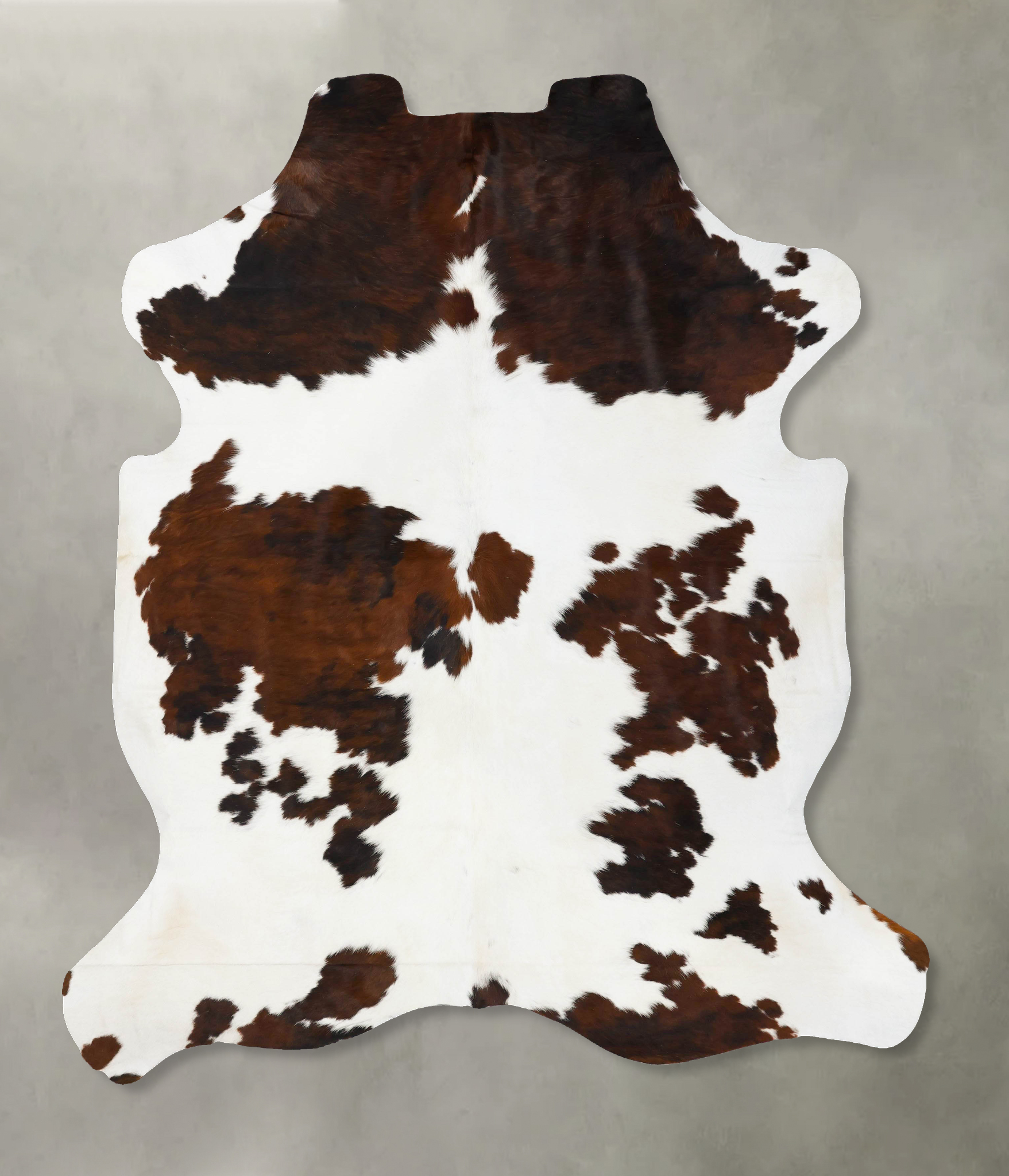 Tricolor Cowhide Rug #B23619
