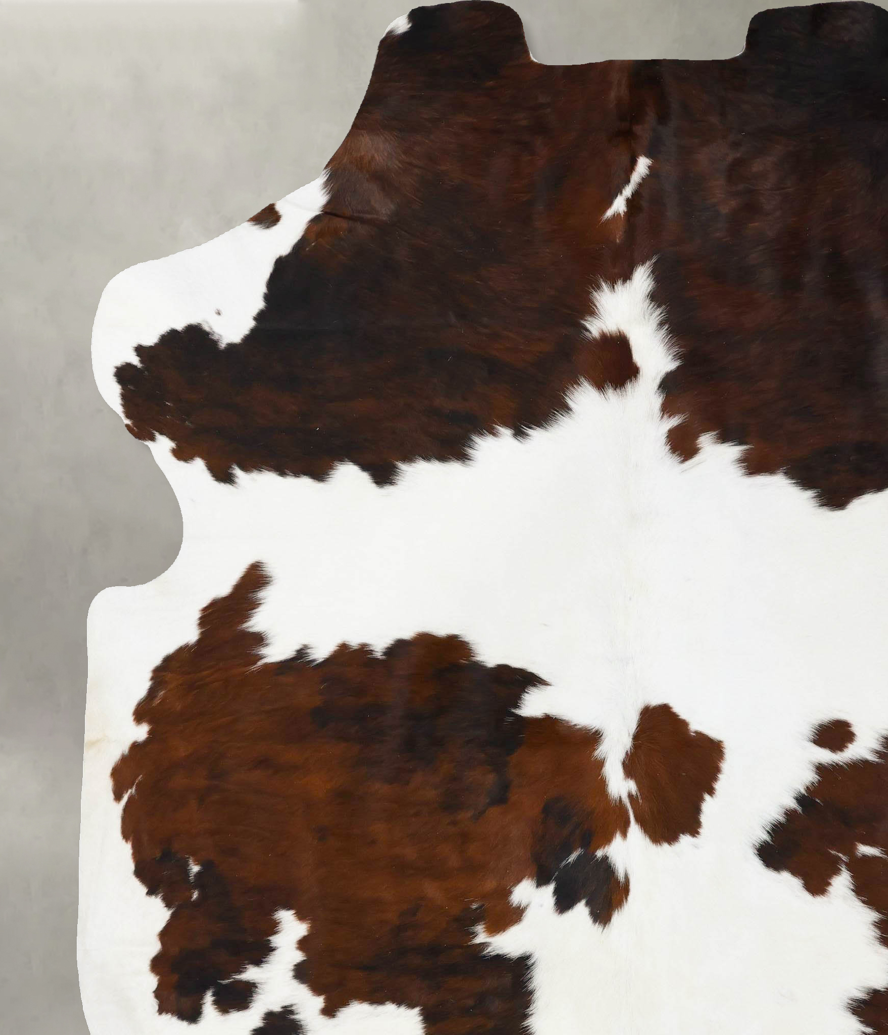 Tricolor Cowhide Rug #B23619