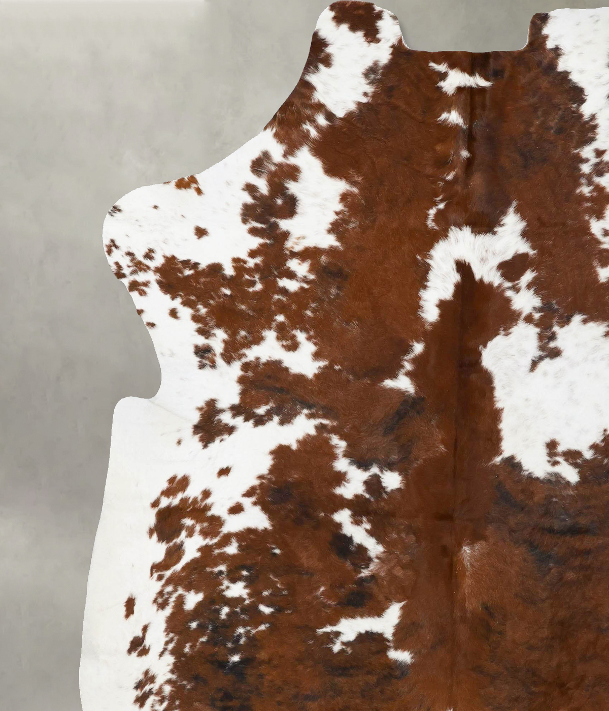 Tricolor XX-Large European Cowhide Rug 7'11"H x 6'8"W #B23621 by Hudson Hides