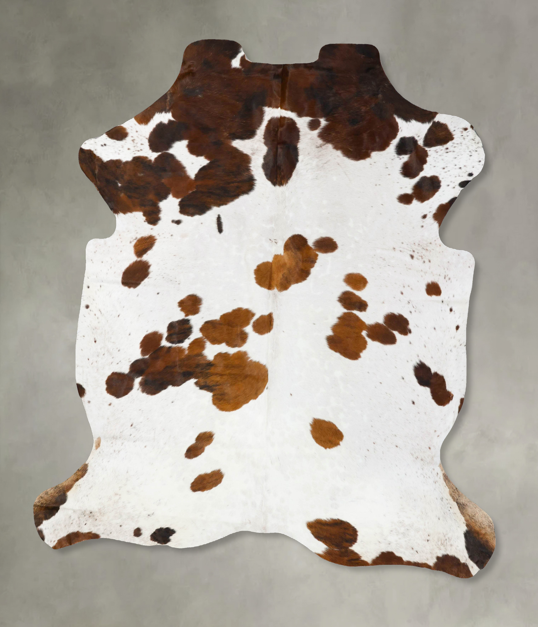 Tricolor Cowhide Rug #B23622