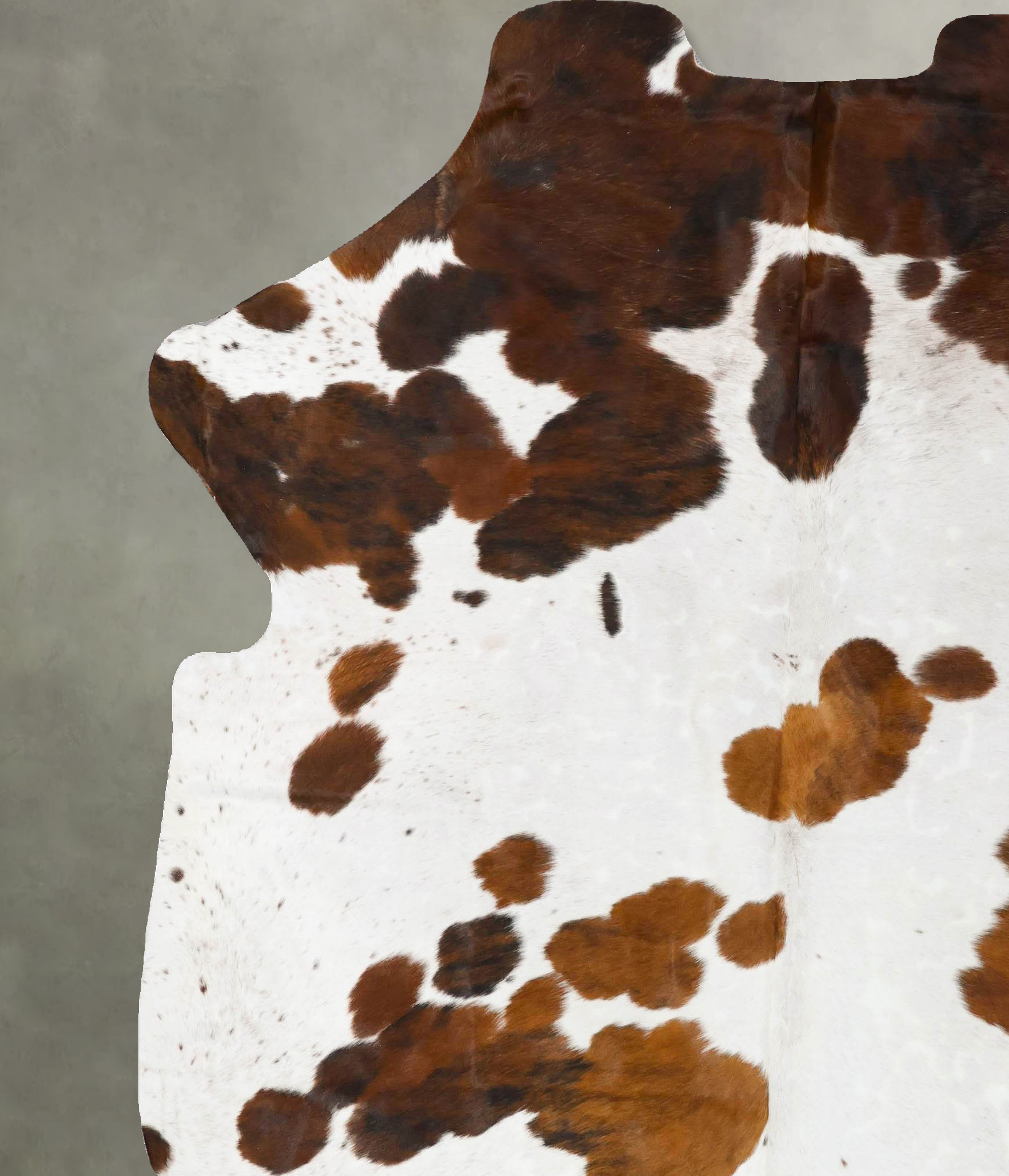 Tricolor Cowhide Rug #B23622