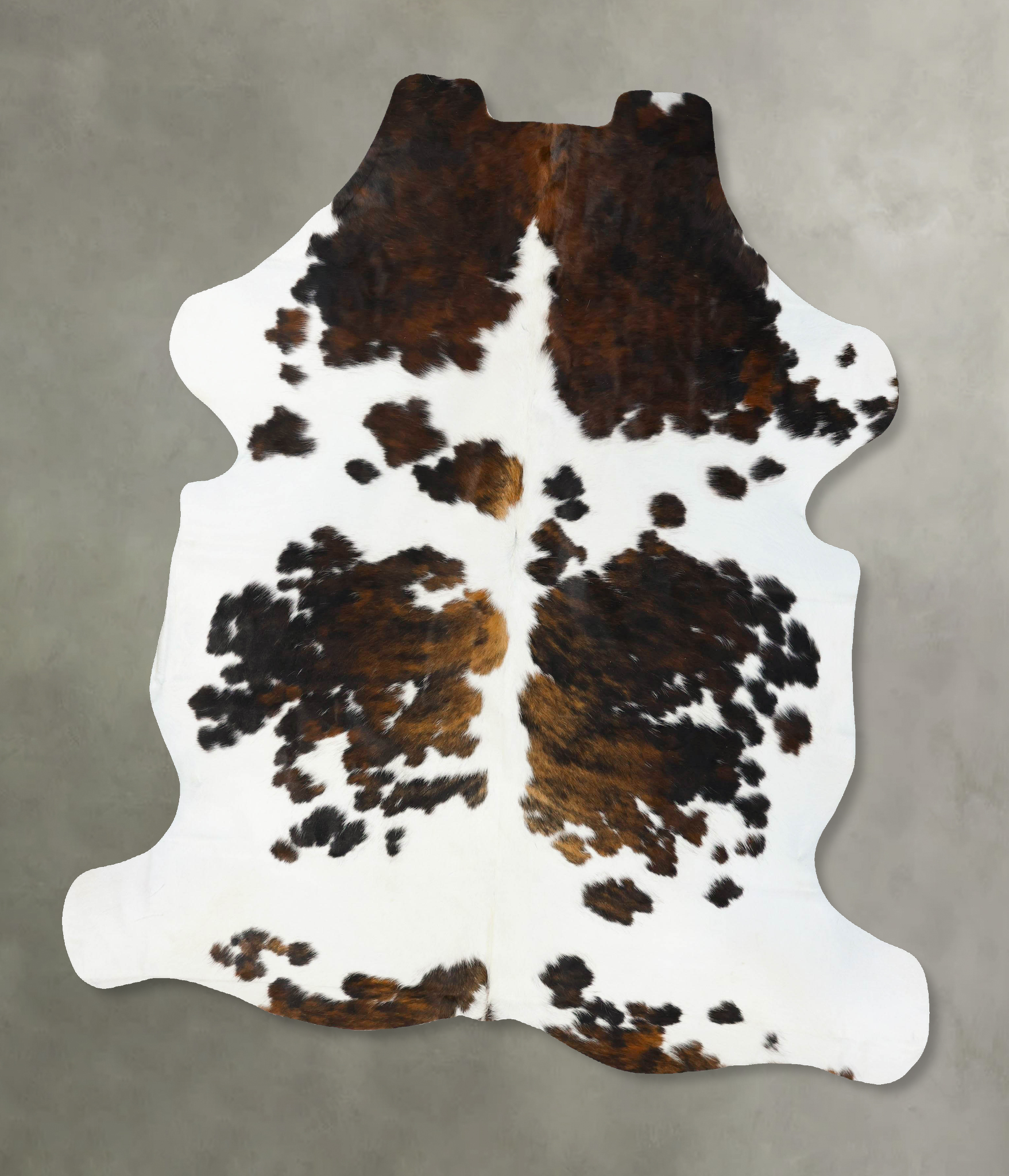 Tricolor Cowhide Rug #B23623