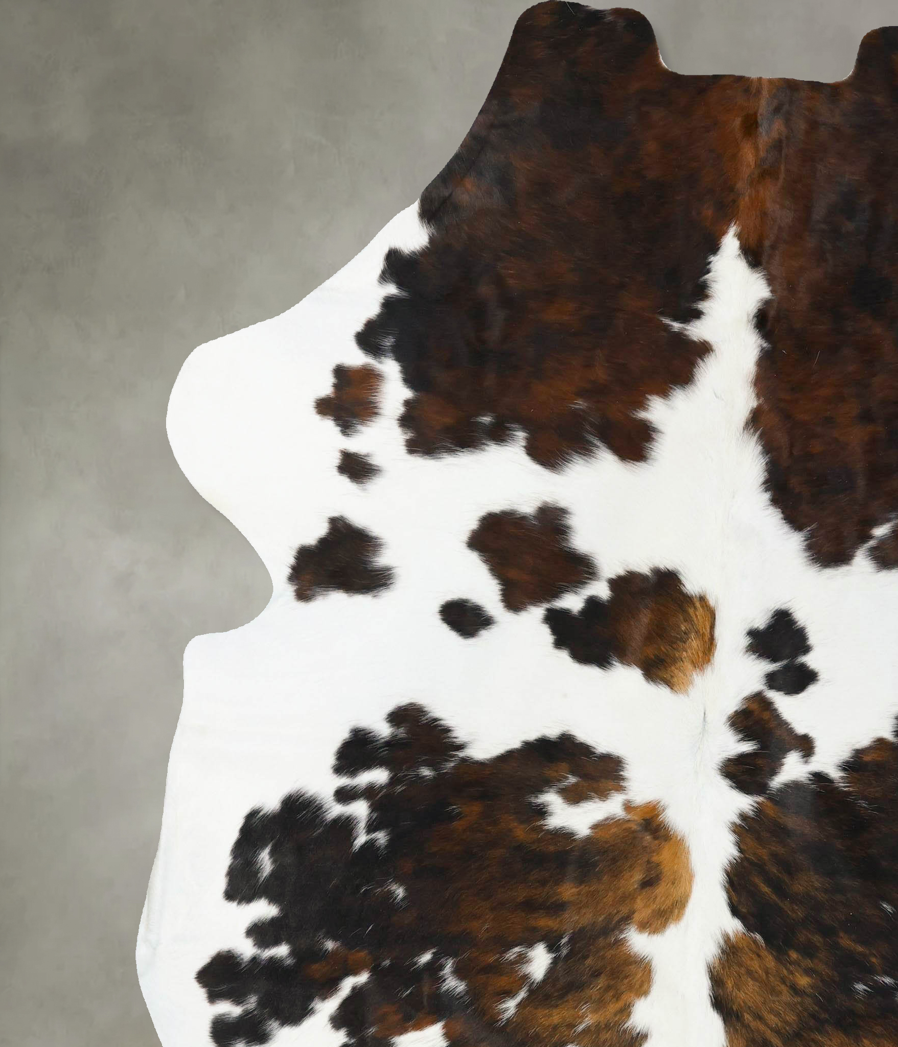 Tricolor Cowhide Rug #B23623