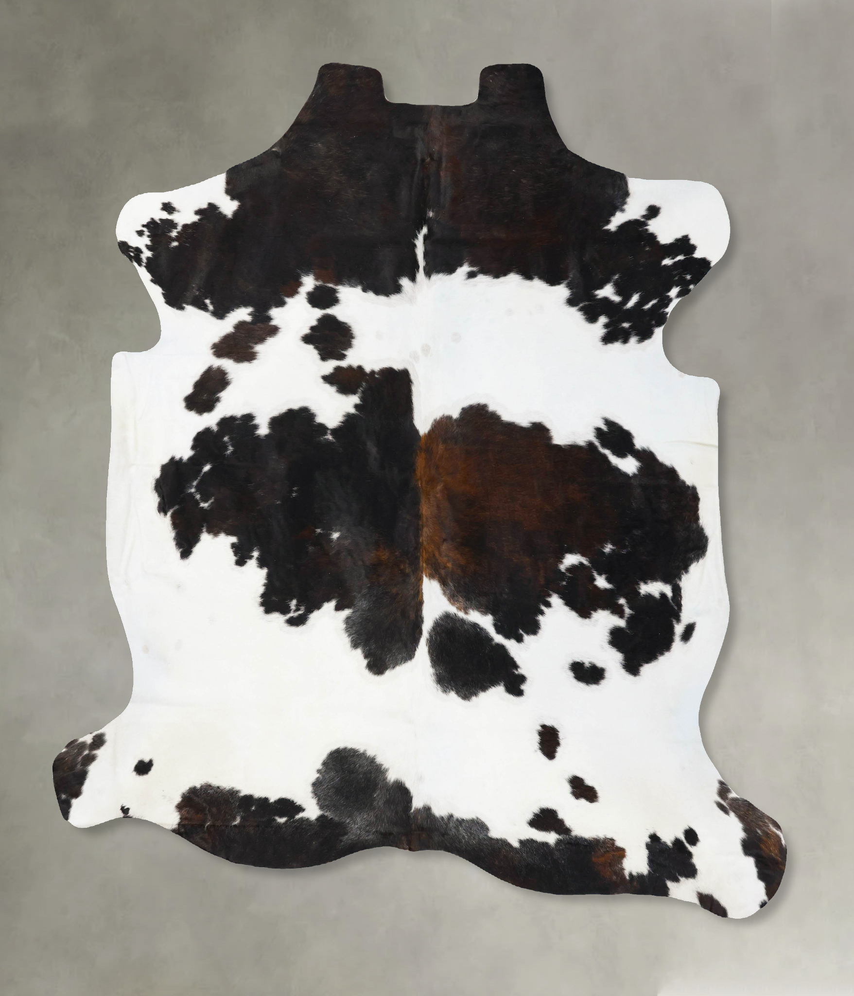 Tricolor Cowhide Rug #B23624