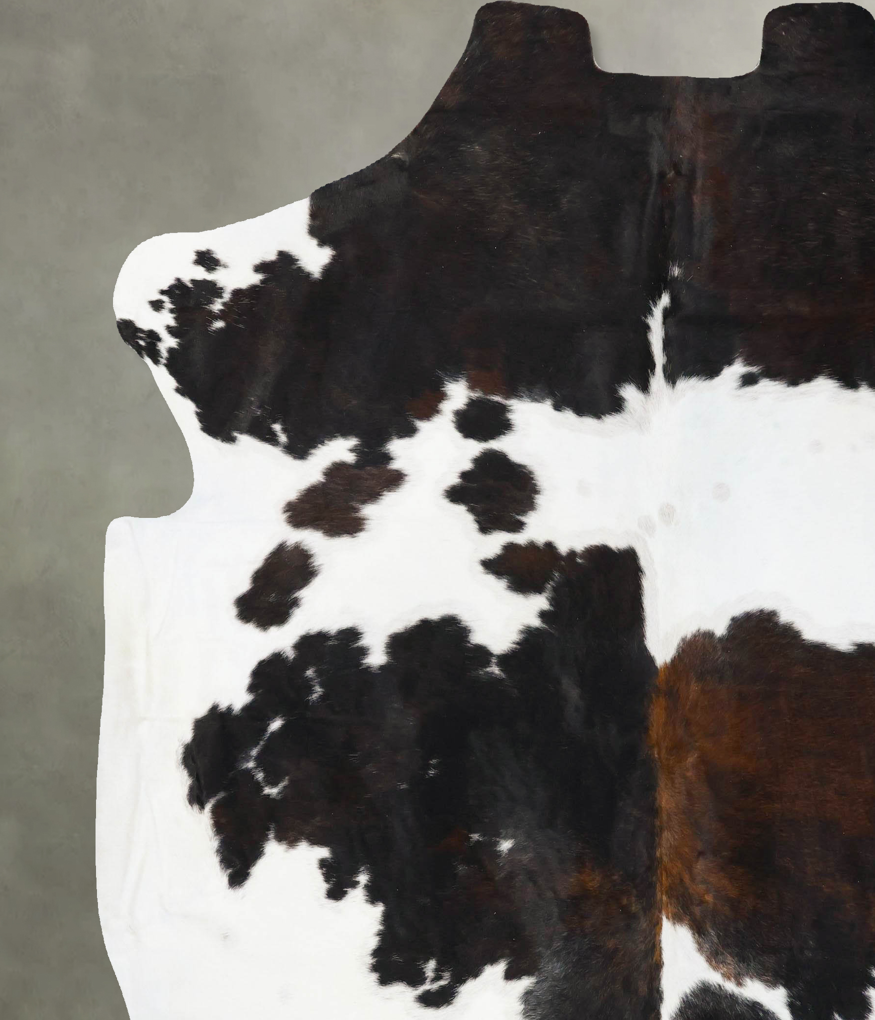Tricolor Cowhide Rug #B23624
