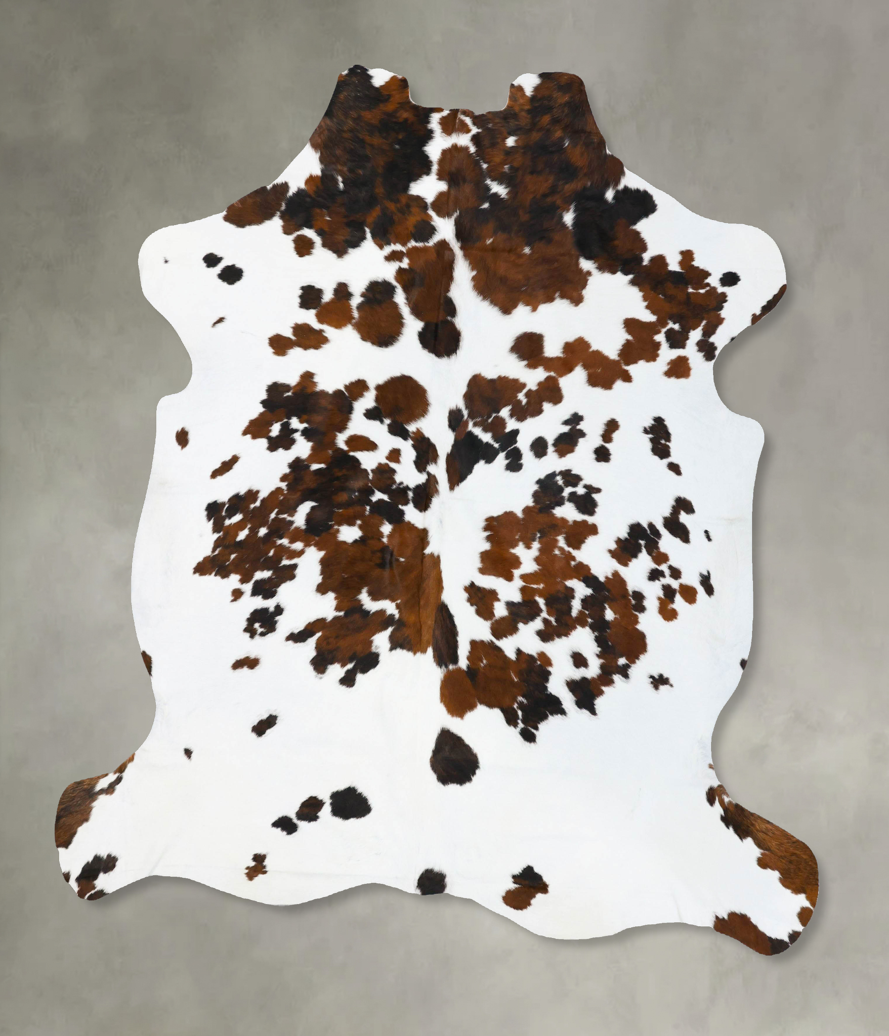 Tricolor Cowhide Rug #B23628