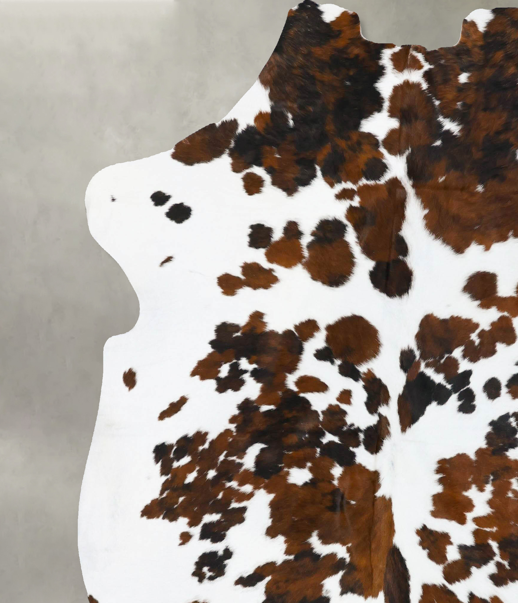 Tricolor Cowhide Rug #B23628