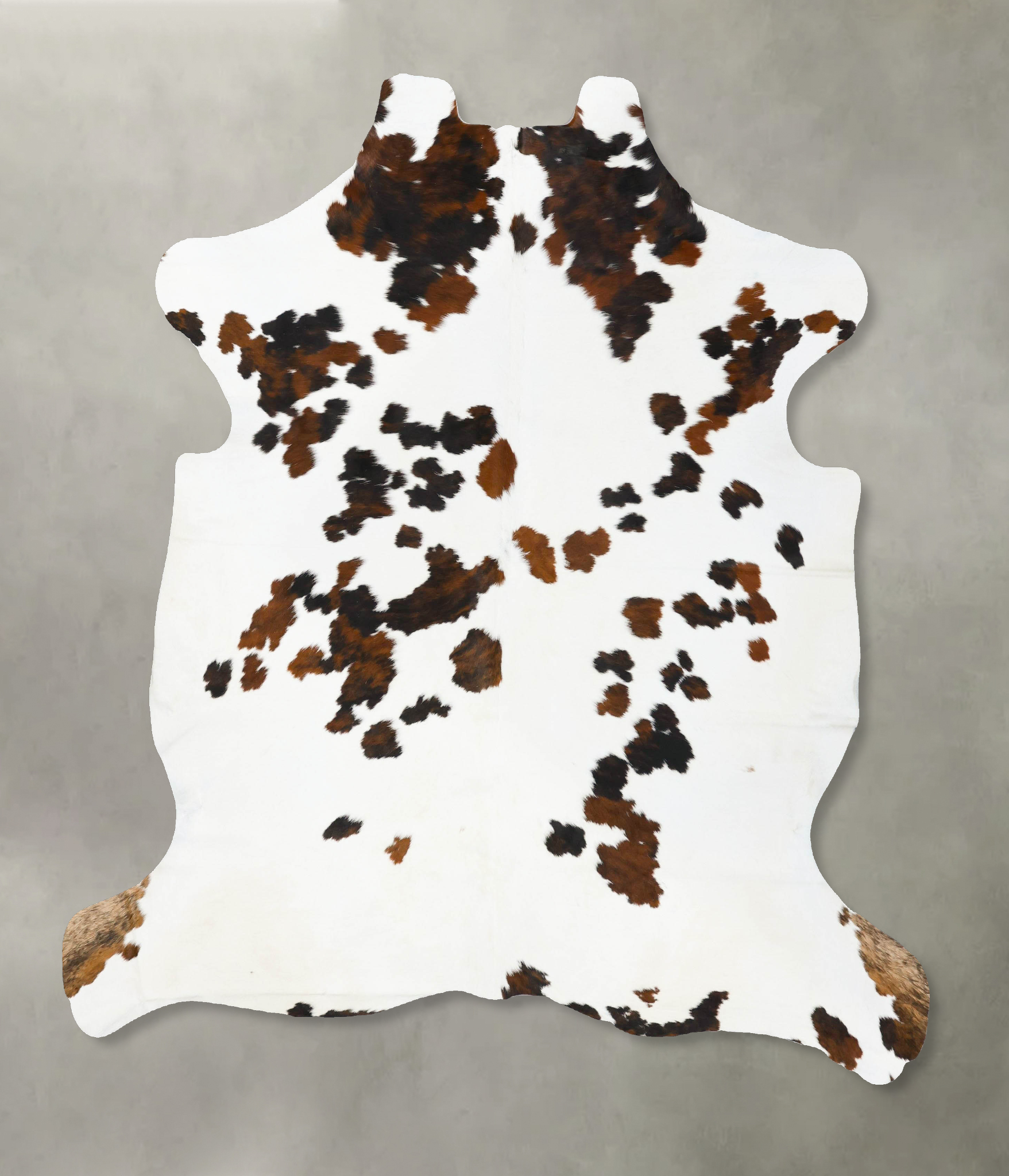 Tricolor Cowhide Rug #B23630