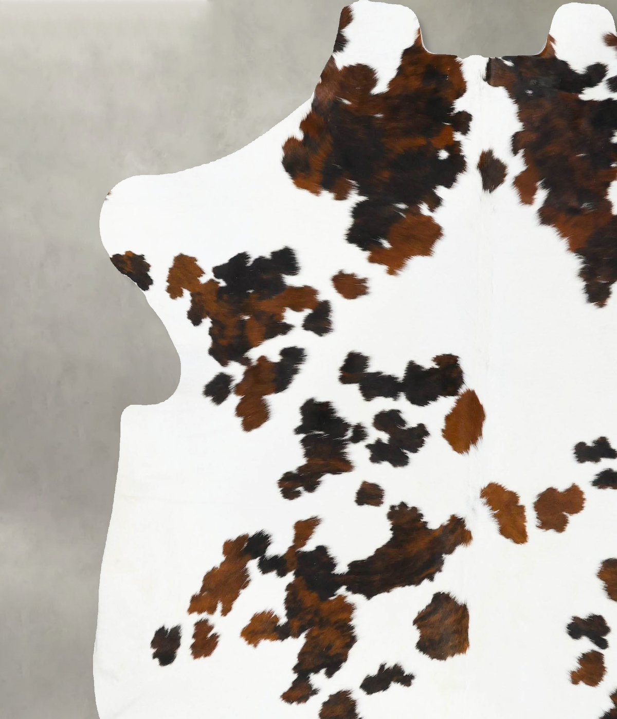 Tricolor X-Large European Cowhide Rug 7'3"H x 6'6"W #B23630 by Hudson Hides