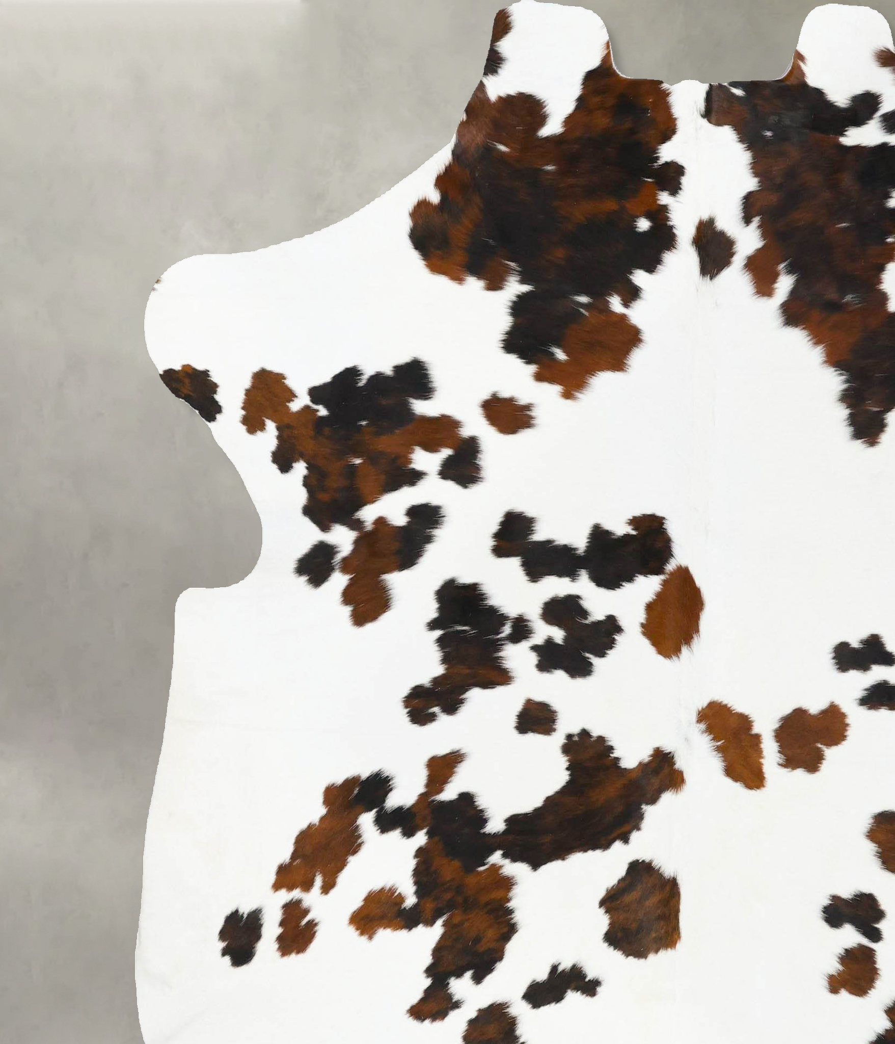Tricolor Cowhide Rug #B23630