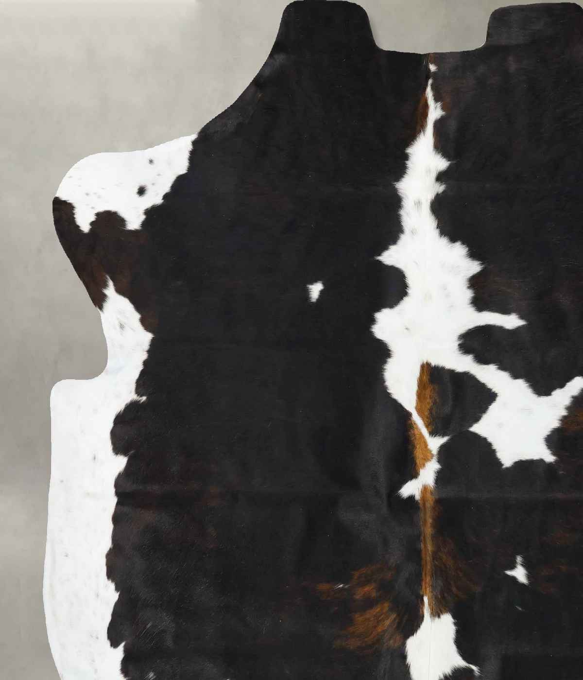 Tricolor X-Large European Cowhide Rug 6'11"H x 6'3"W #B23631 by Hudson Hides
