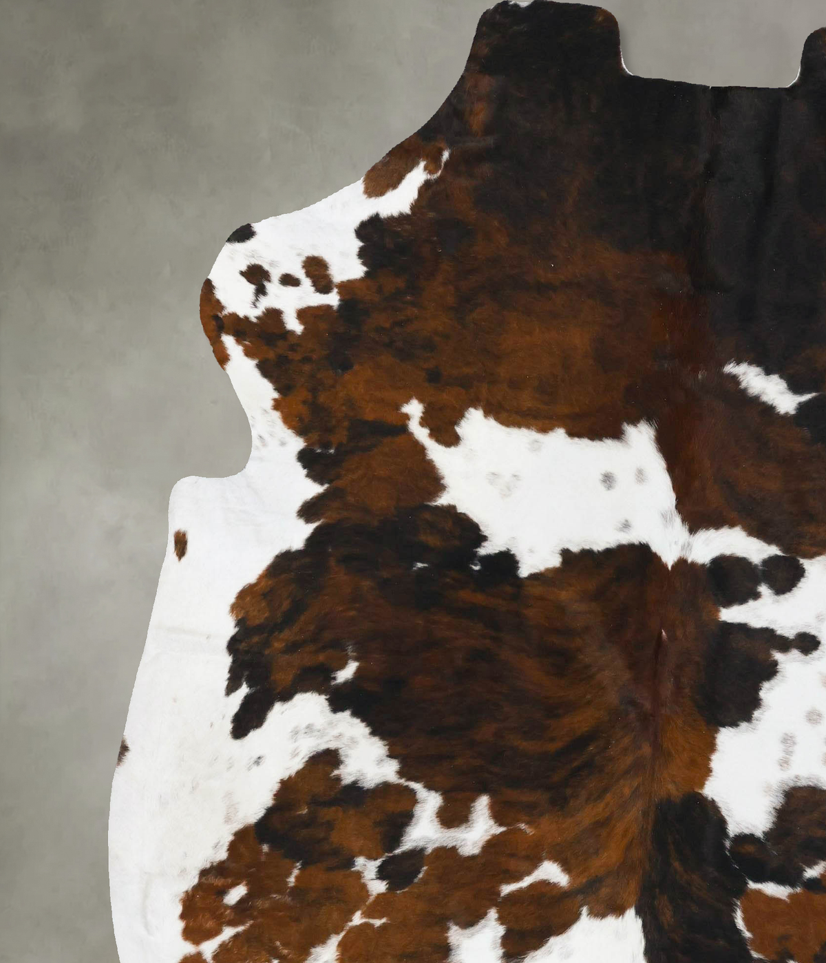 Tricolor X-Large European Cowhide Rug 7'5"H x 6'7"W #B23633 by Hudson Hides